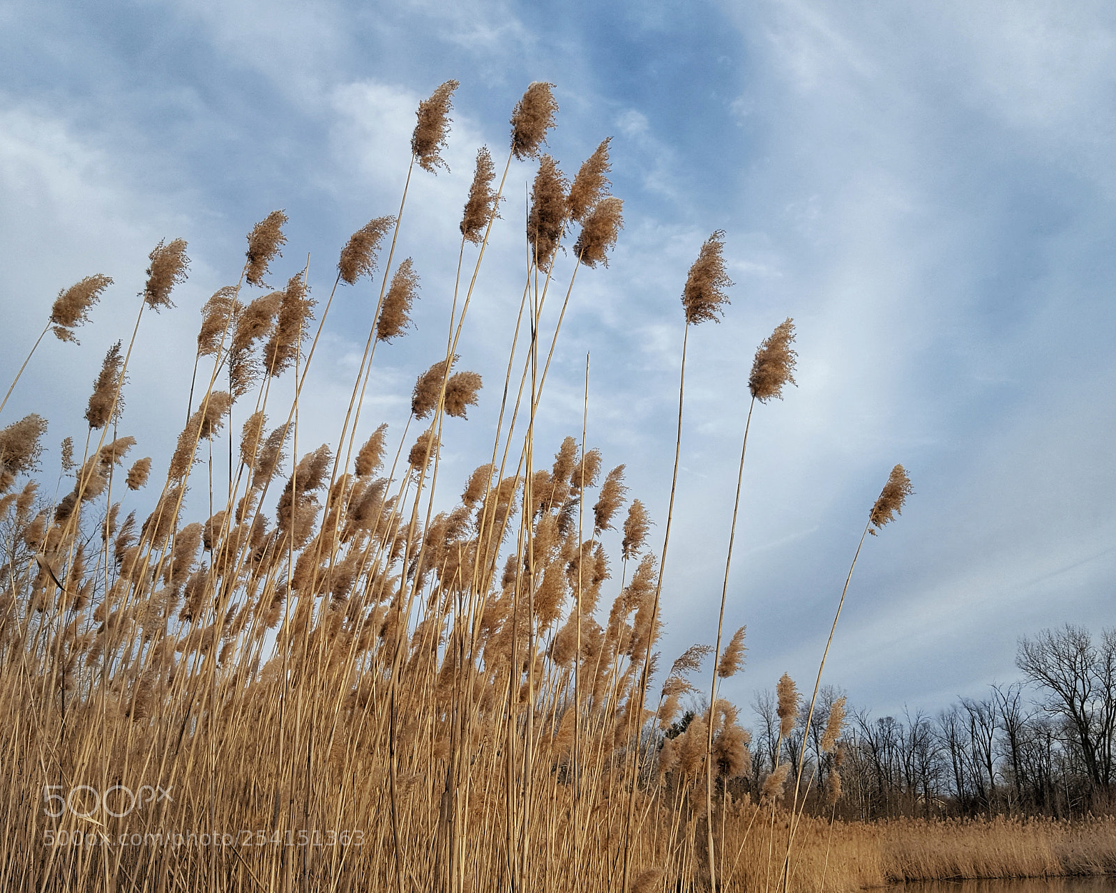 Samsung GALAXY S6 edge sample photo. Untitled photography