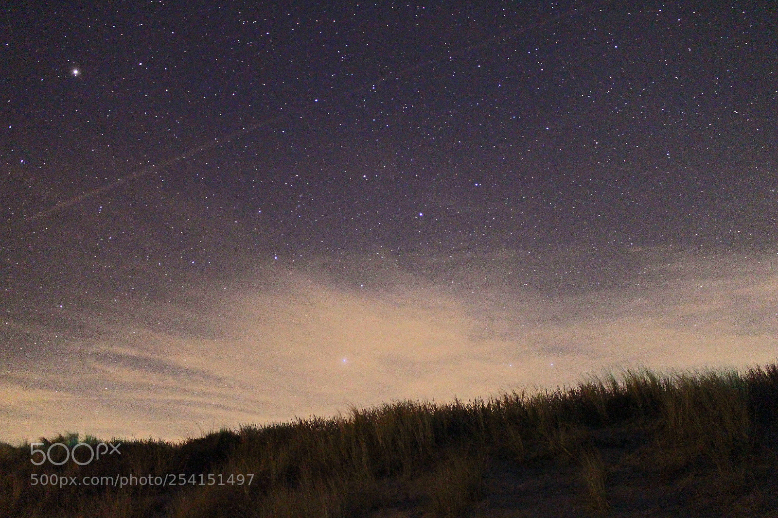 Canon EOS 700D (EOS Rebel T5i / EOS Kiss X7i) sample photo. All of the stars photography