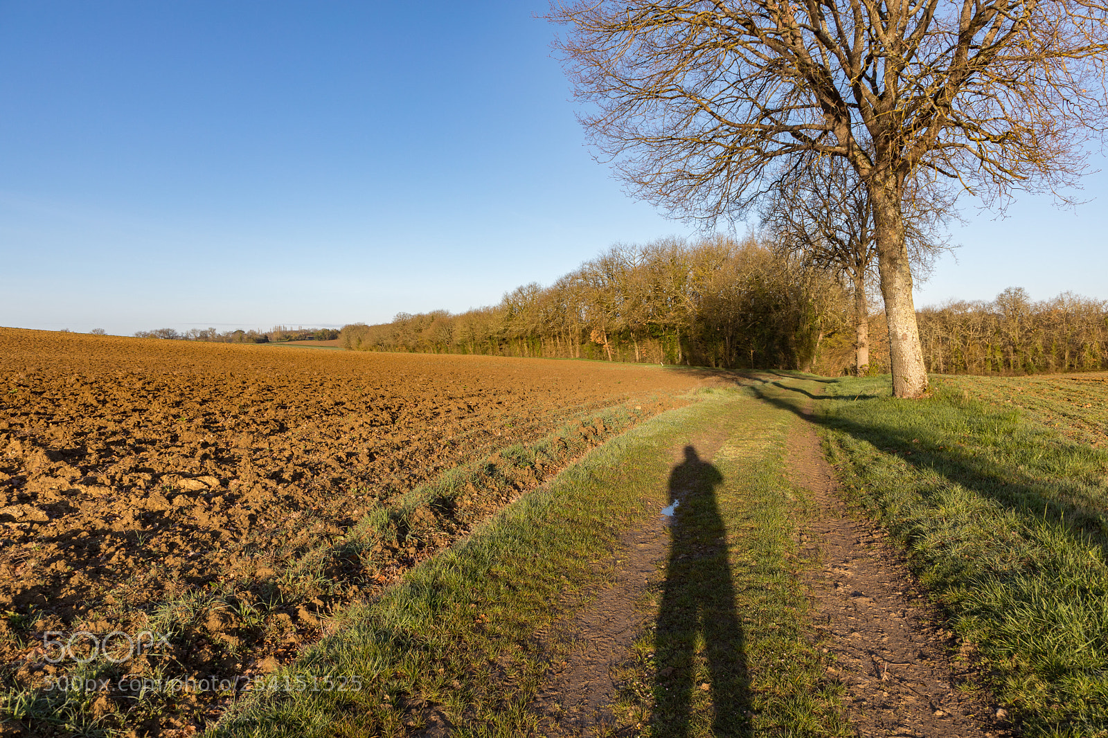 Canon EOS 5D Mark IV sample photo. Camino de santiago to photography