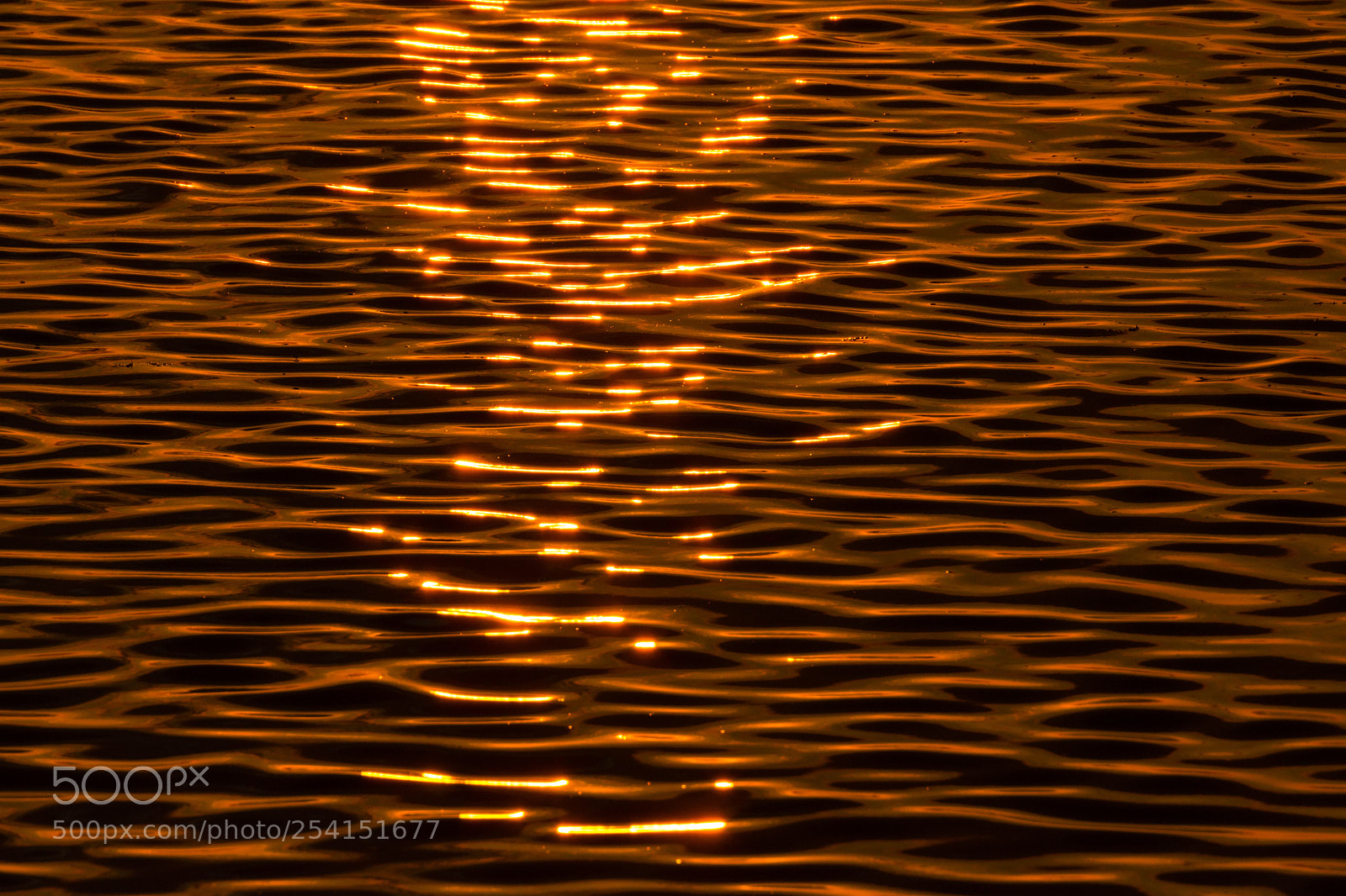 Nikon D7200 sample photo. Golden waves photography