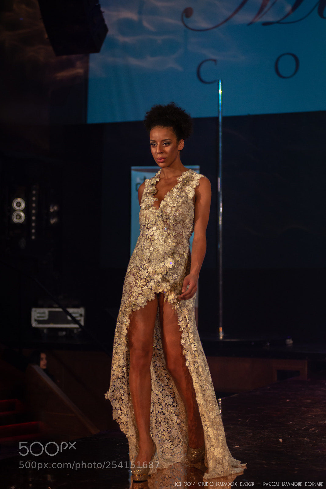 Nikon D610 sample photo. Fashion sensation catwalk4u rotterdam photography
