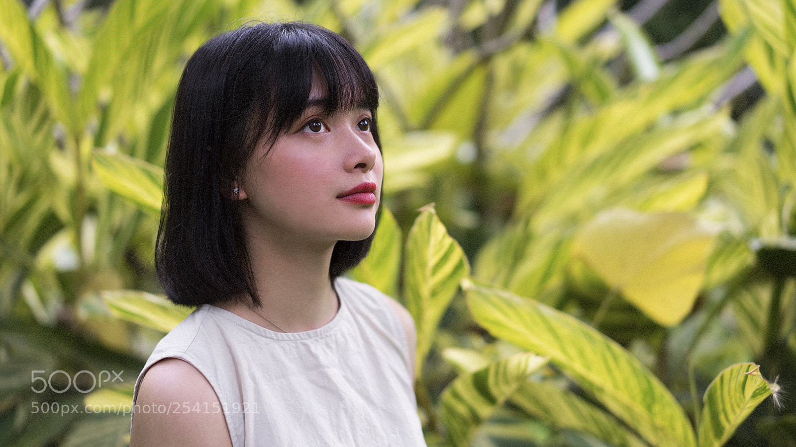 Sony a7 II sample photo. 9.jpg photography