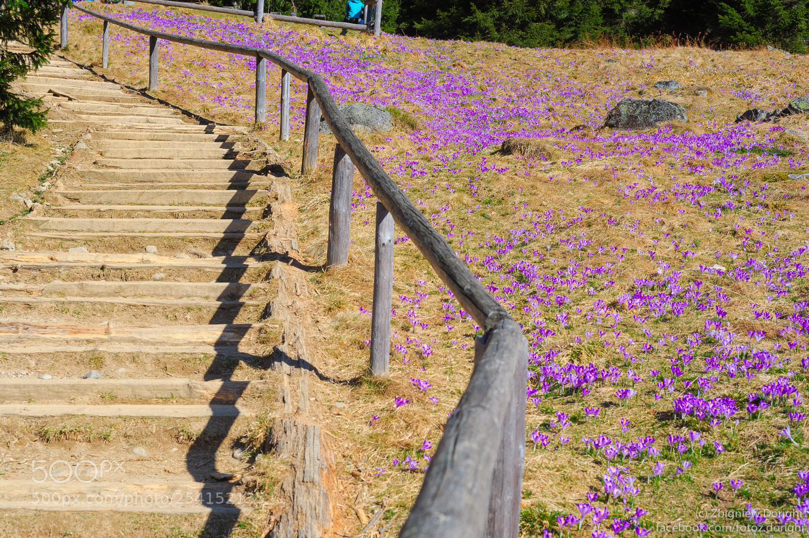 Nikon D700 sample photo. Stairway to heaven photography