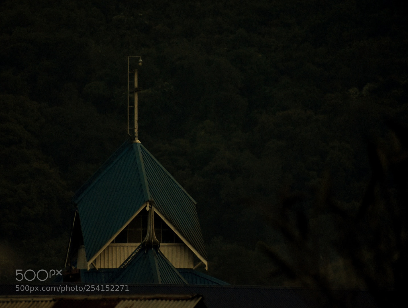 Nikon D5600 sample photo. Faith photography
