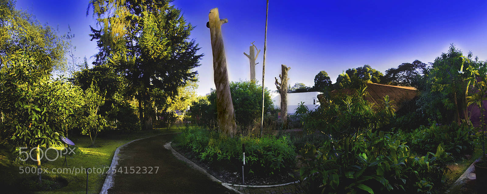 Nikon D5100 sample photo. Naturaleza pronunciada photography