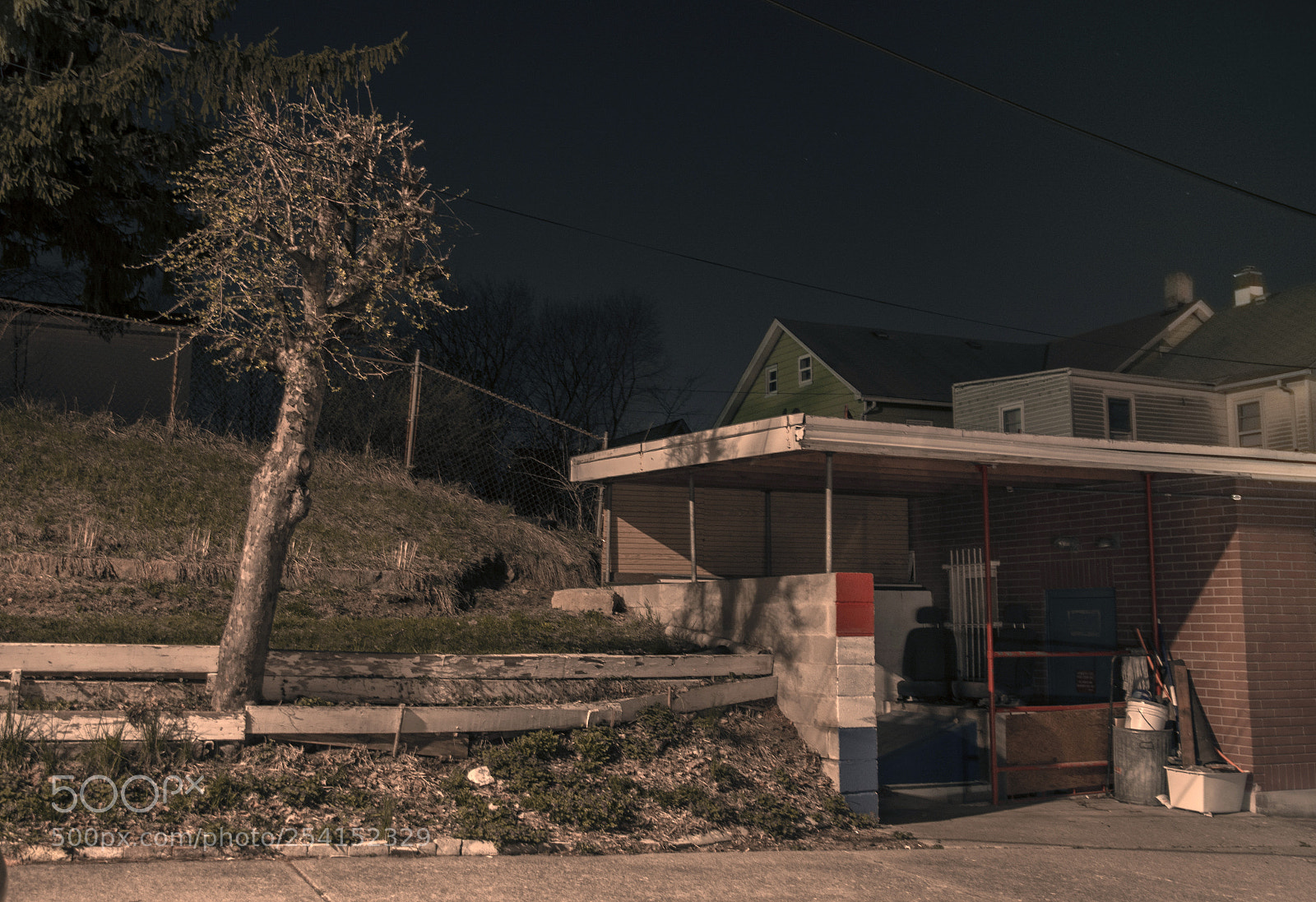 Nikon D7100 sample photo. An odd tree and photography