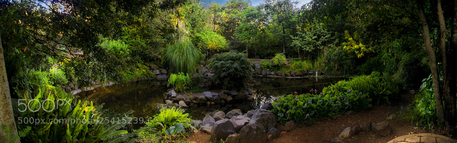 Nikon D5100 sample photo. Paisaje photography