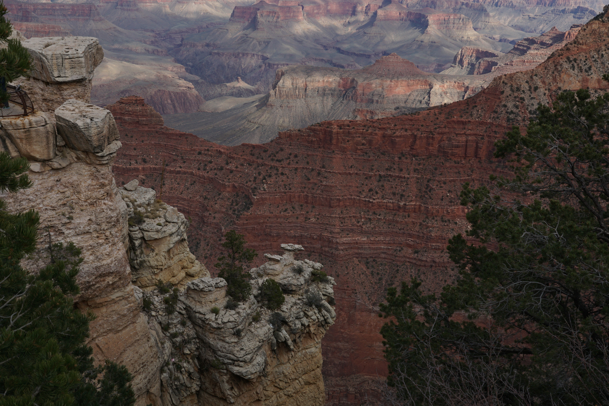 Sony ILCA-77M2 sample photo. Grand canyon photography