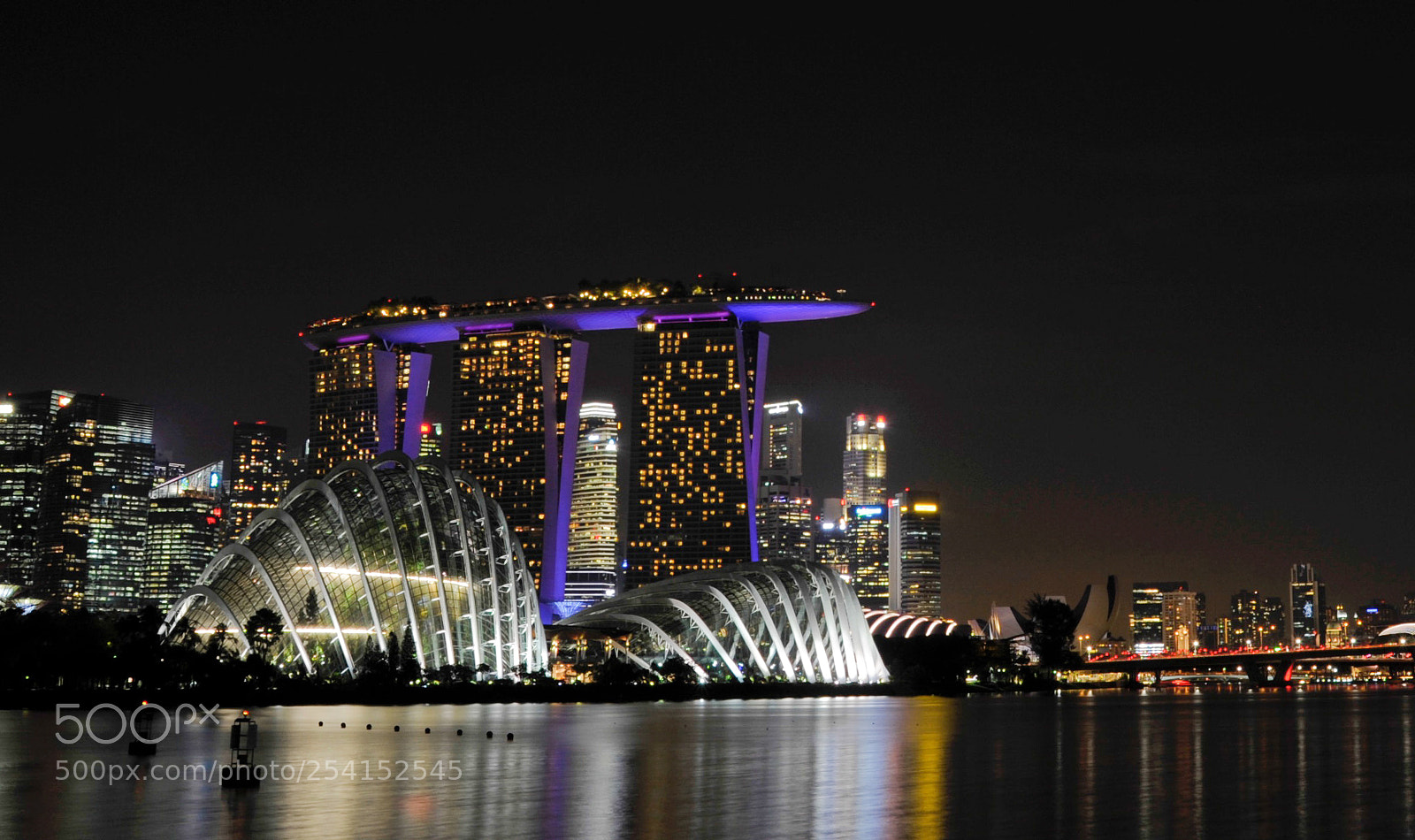 Nikon D700 sample photo. Reflections from gardens by photography