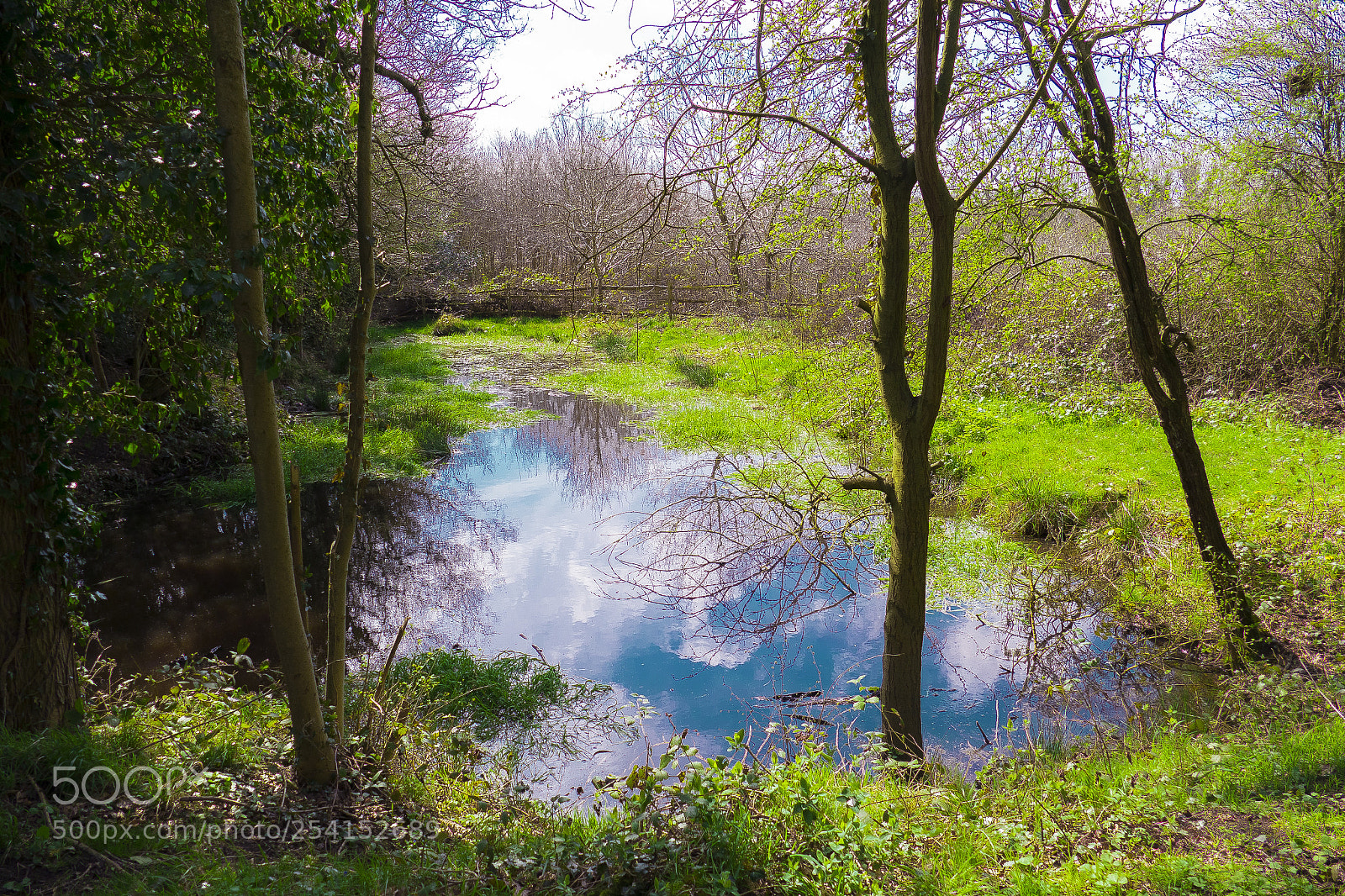 Panasonic Lumix DMC-FZ1000 sample photo. Tile hill wood photography