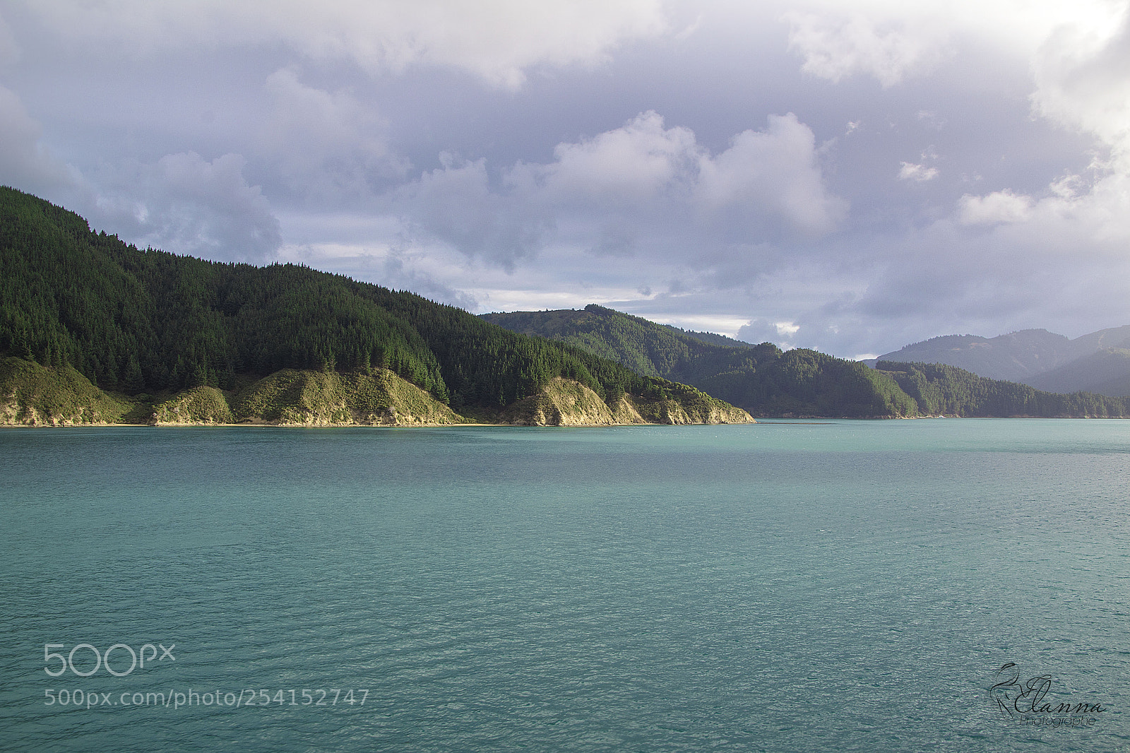 Canon EOS 1300D (EOS Rebel T6 / EOS Kiss X80) sample photo. Cook strait photography