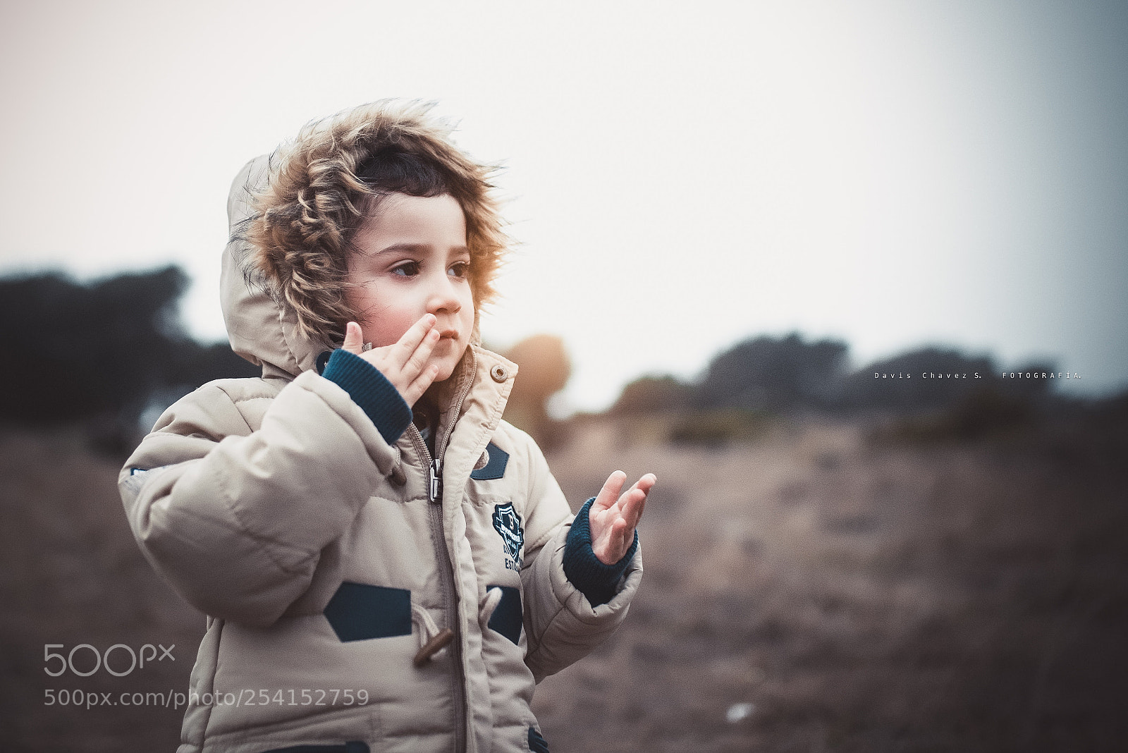 Nikon D610 sample photo. Renato photography