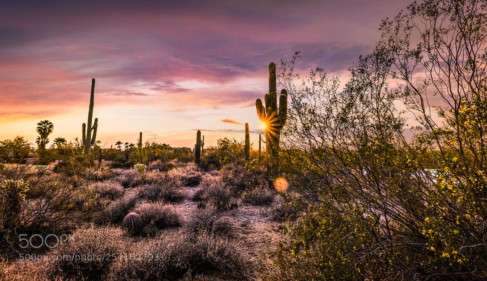 Nikon D810 sample photo. Colorful desert sunset photography
