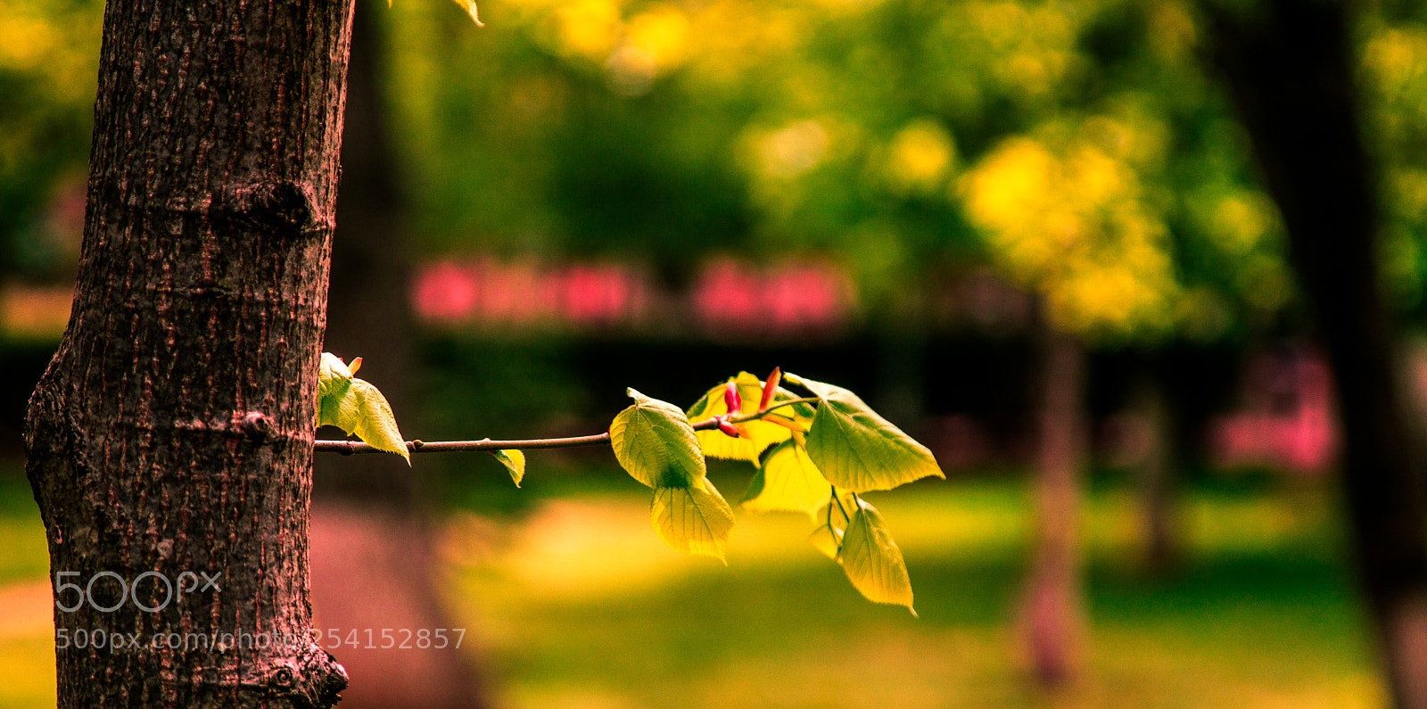 Sony a6000 sample photo. Dsc photography