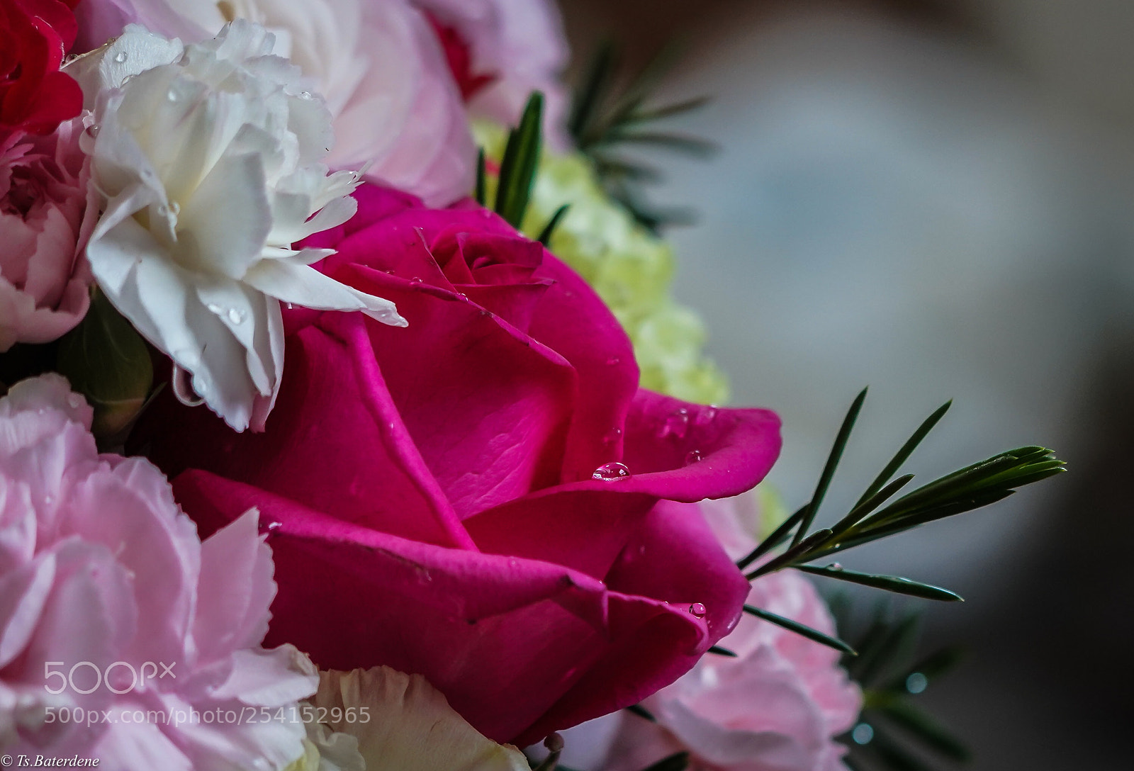 Sony a7R III sample photo. Untitled photography