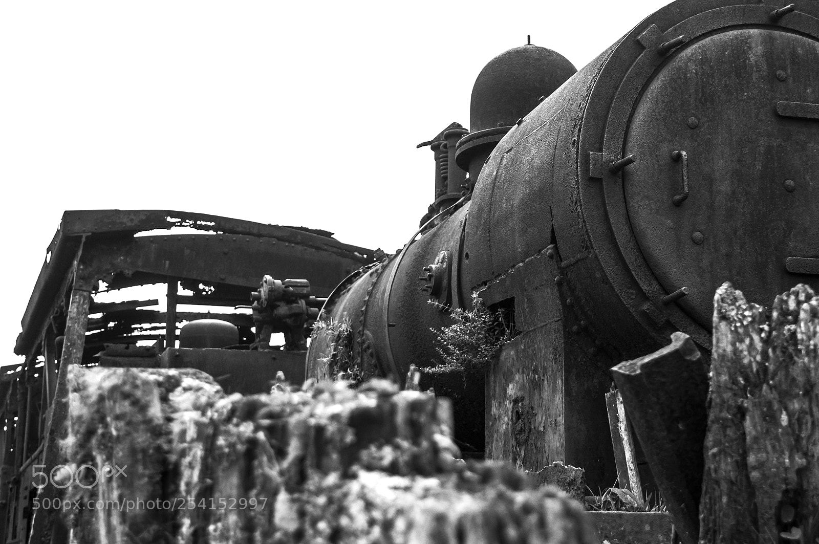Nikon D300 sample photo. Junktrain photography