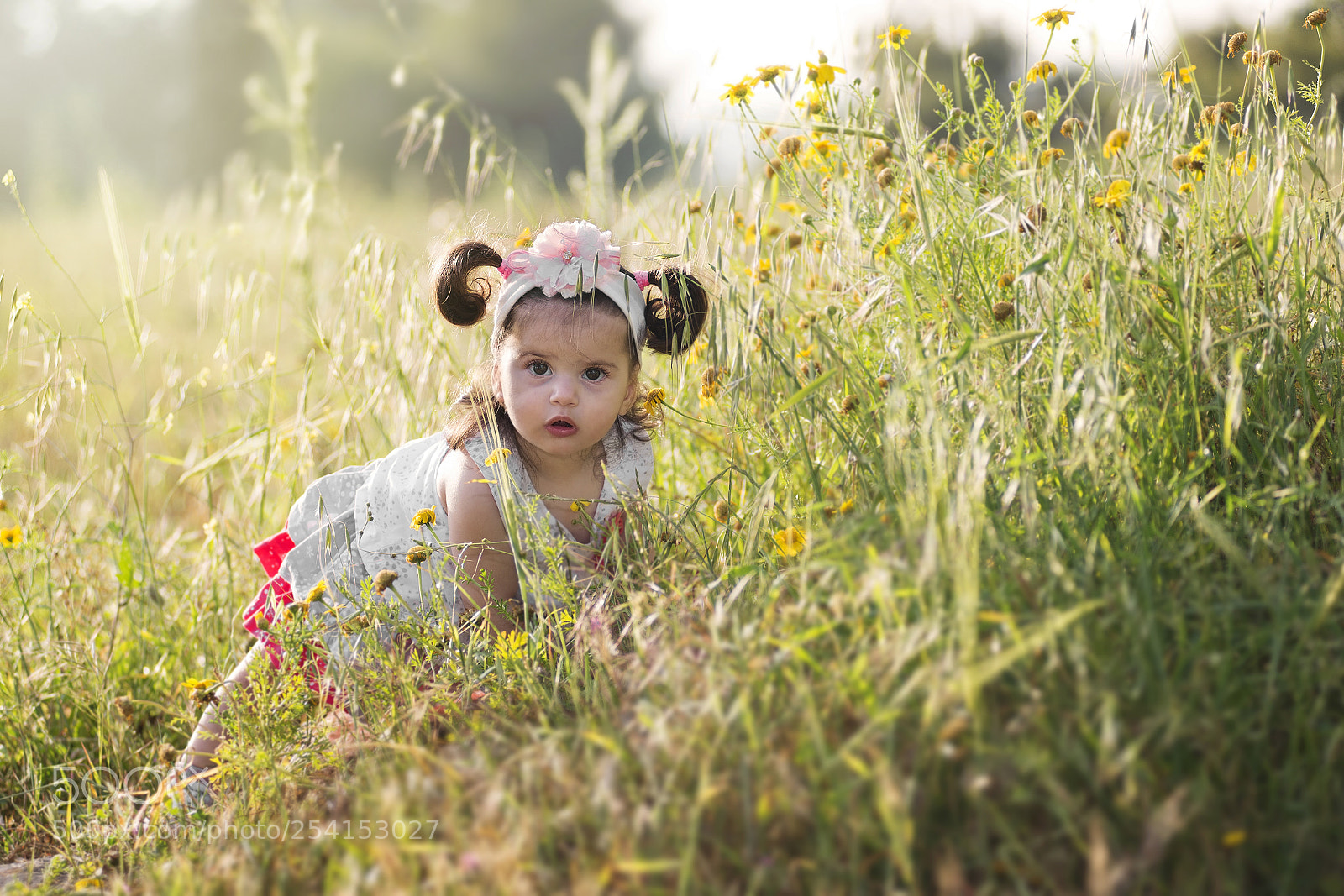 Nikon D610 sample photo. Noya... photography