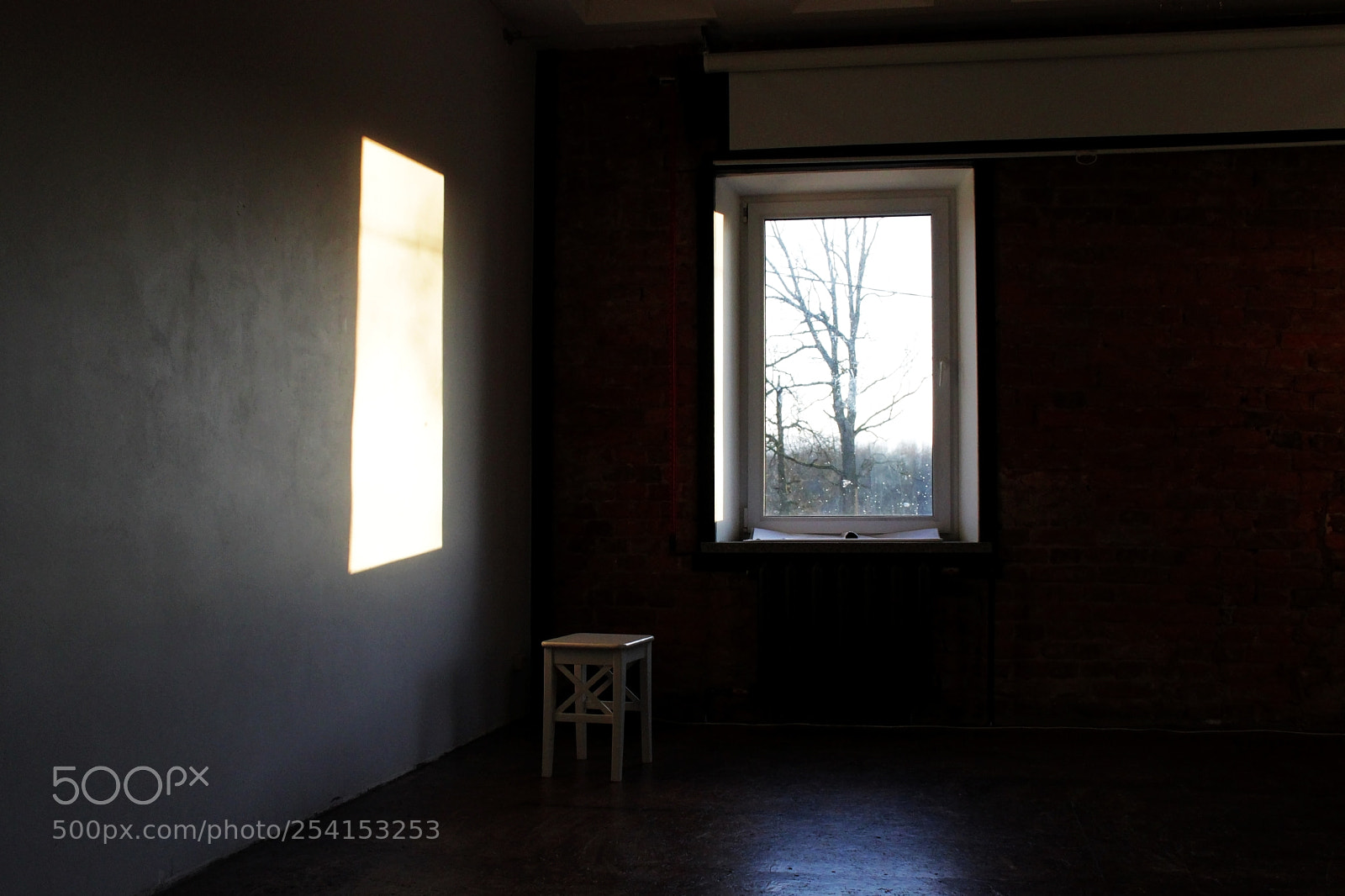 Canon EOS 600D (Rebel EOS T3i / EOS Kiss X5) sample photo. Rectangular light from the photography