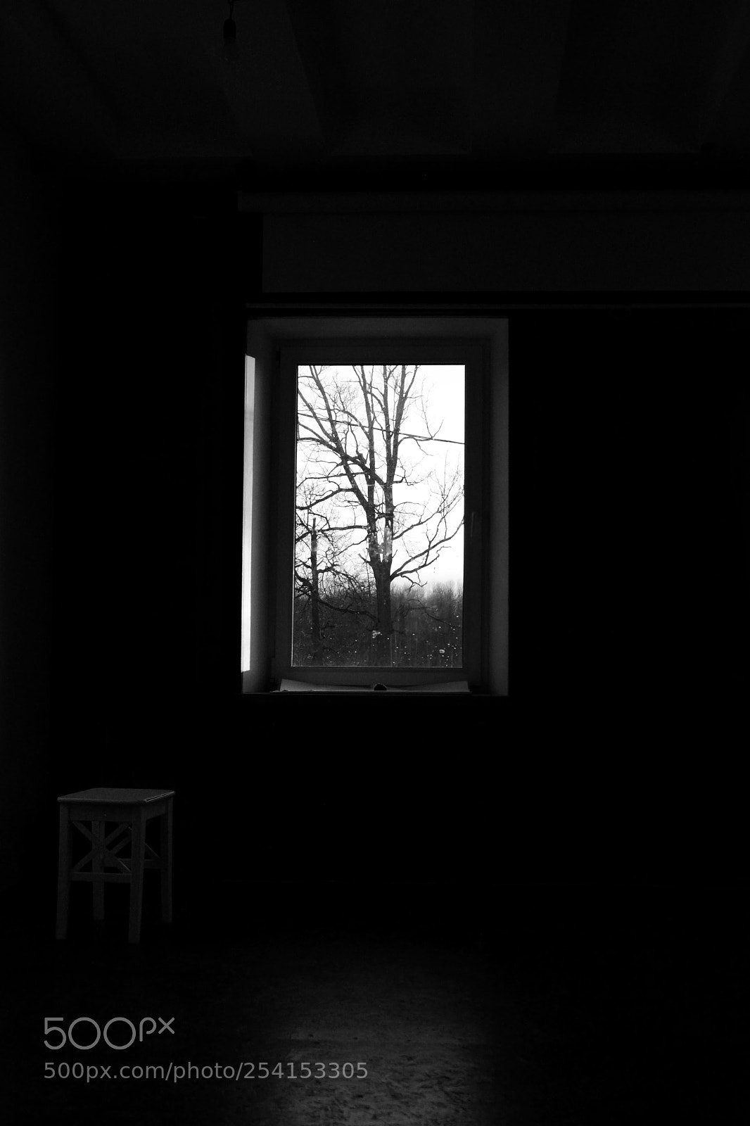 Canon EOS 600D (Rebel EOS T3i / EOS Kiss X5) sample photo. Rectangular light from the photography
