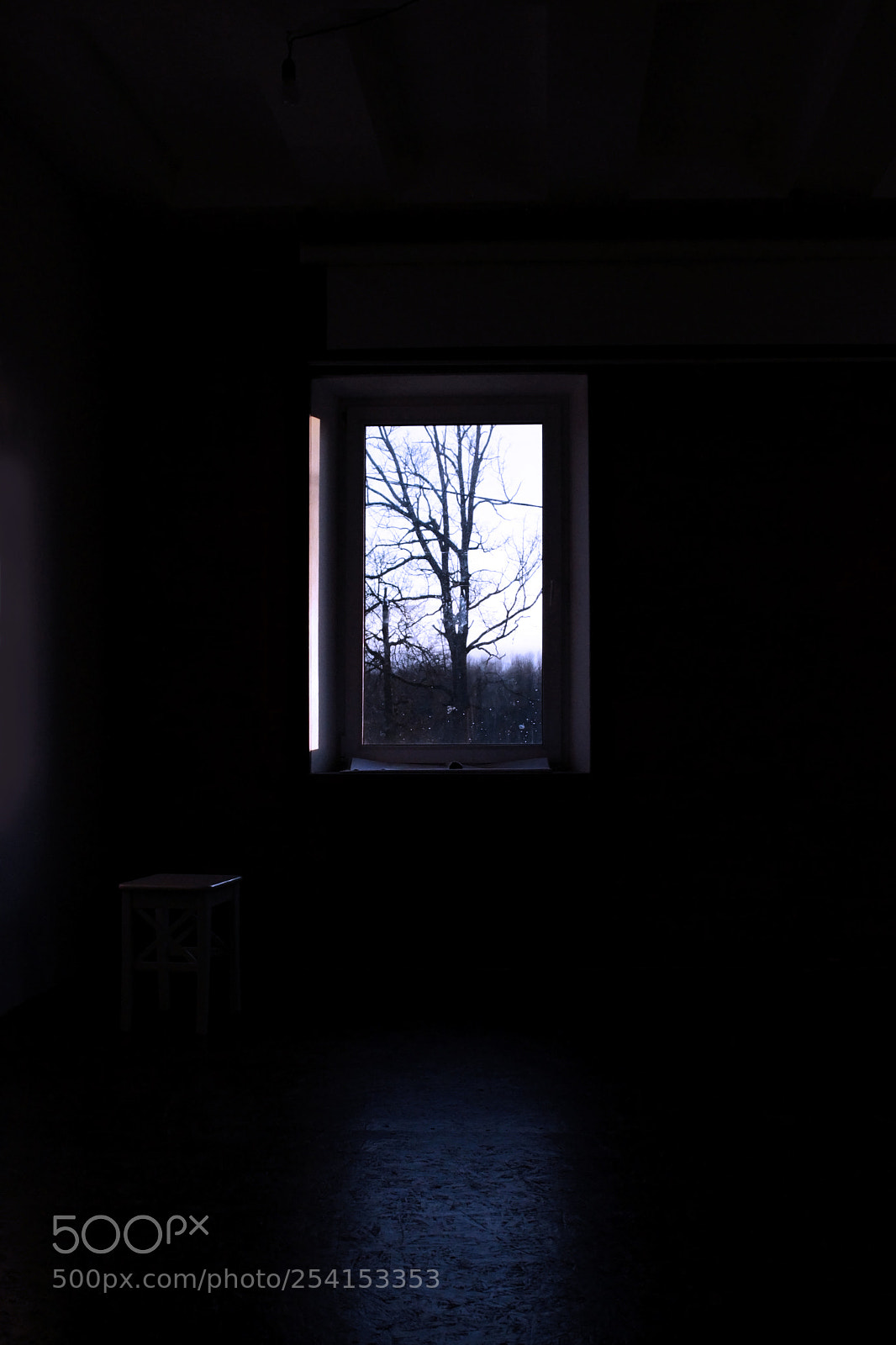 Canon EOS 600D (Rebel EOS T3i / EOS Kiss X5) sample photo. Rectangular light from the photography