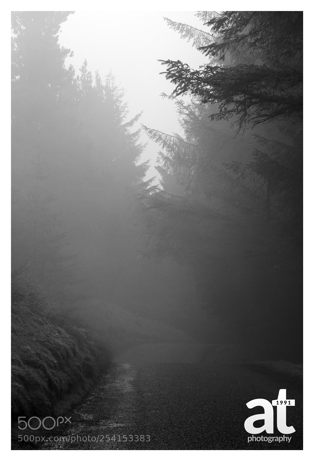 Canon EOS 80D sample photo. A drive through wicklow photography