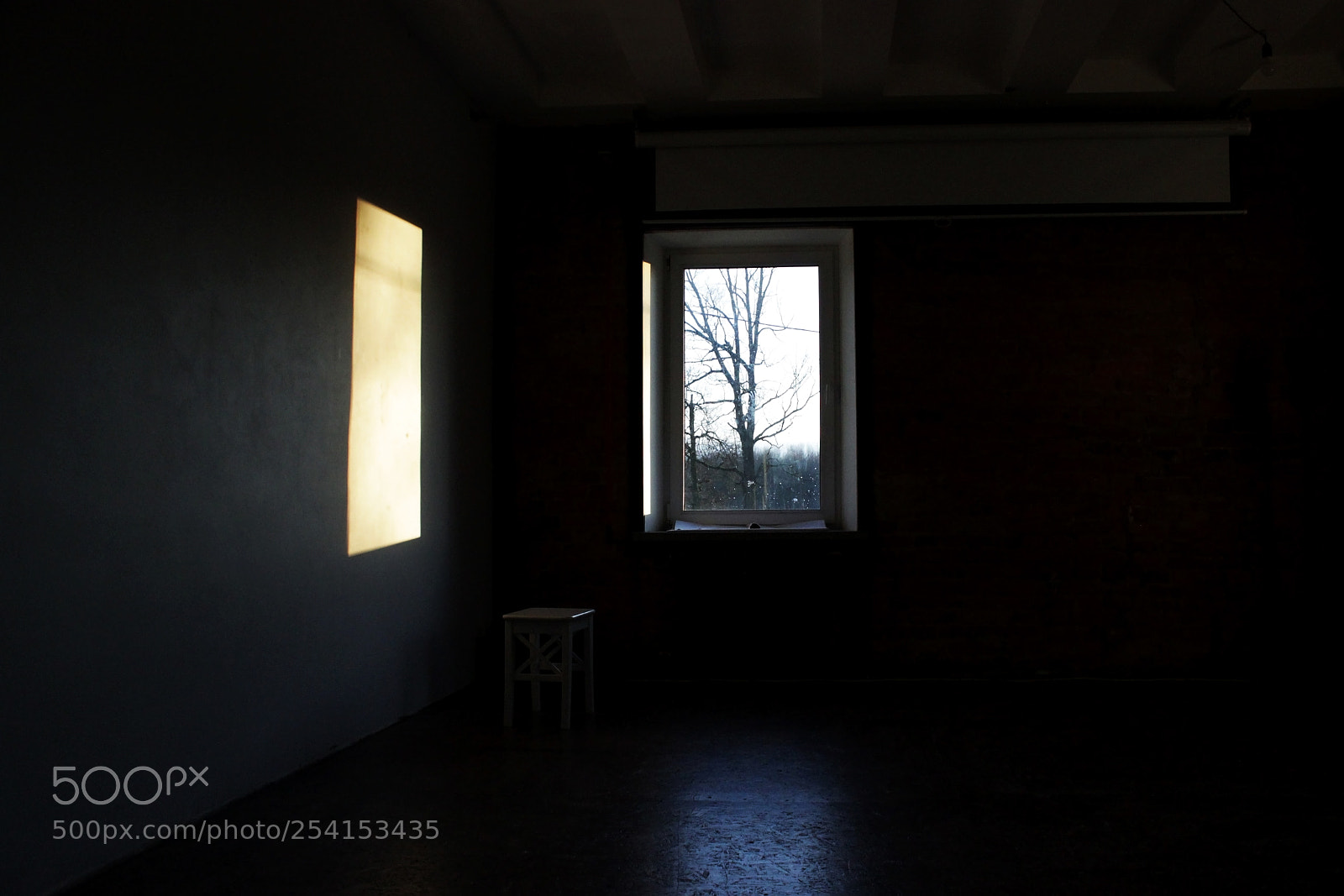 Canon EOS 600D (Rebel EOS T3i / EOS Kiss X5) sample photo. Rectangular light from the photography