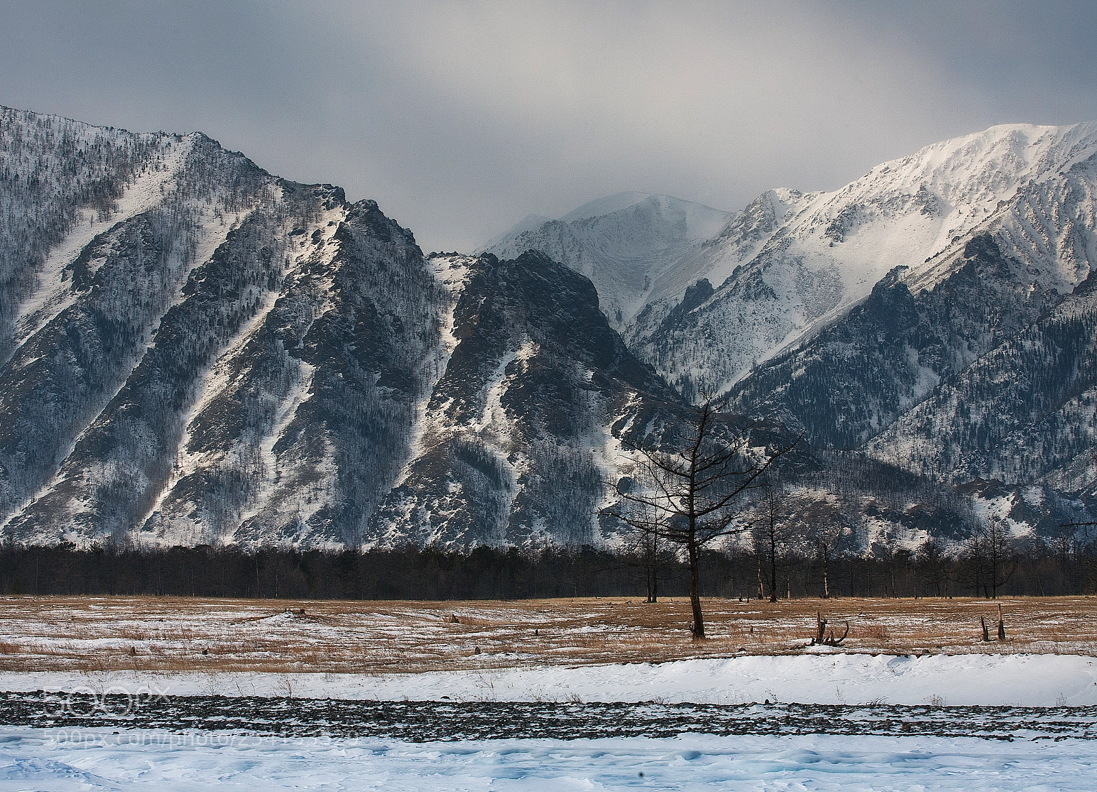 Canon EOS-1D Mark II N sample photo. North photography