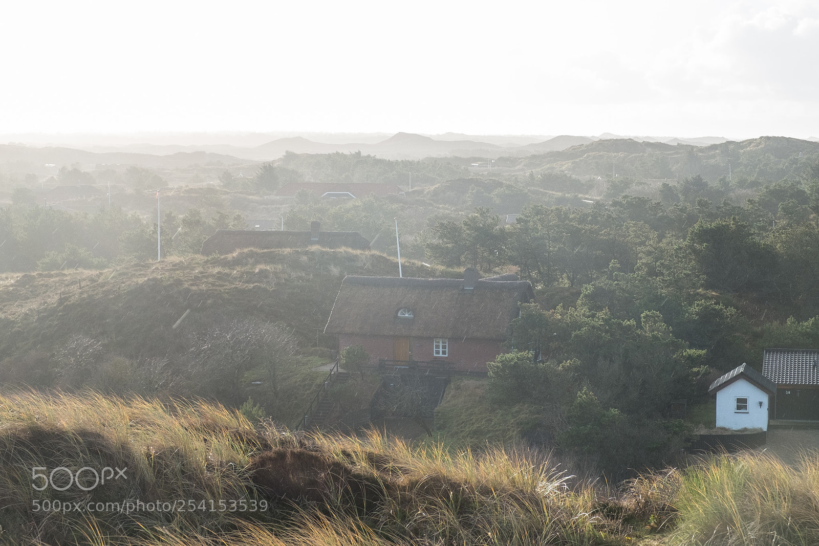Fujifilm X-Pro1 sample photo. Dk-2018 photography