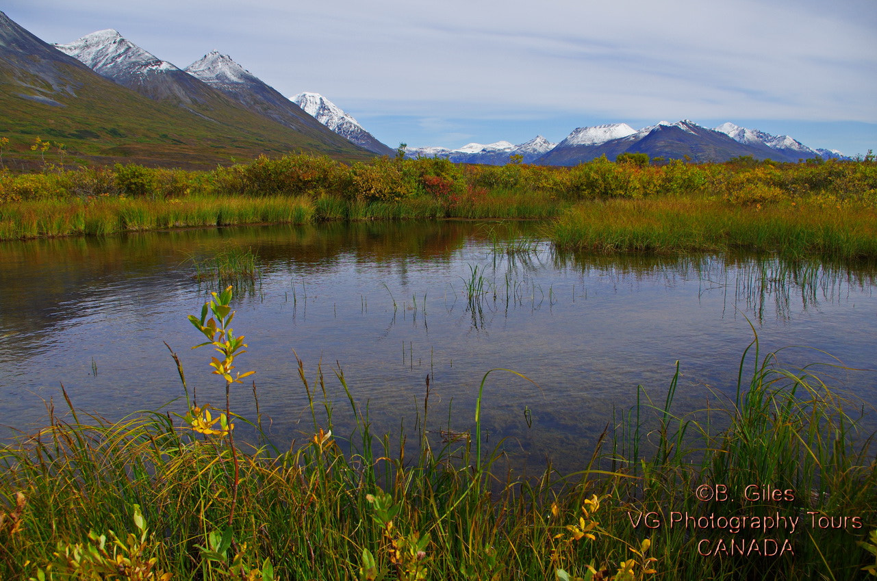 Pentax K-5 IIs + Pentax smc DA 18-55mm F3.5-5.6 AL WR sample photo. Yukon in autumn photography