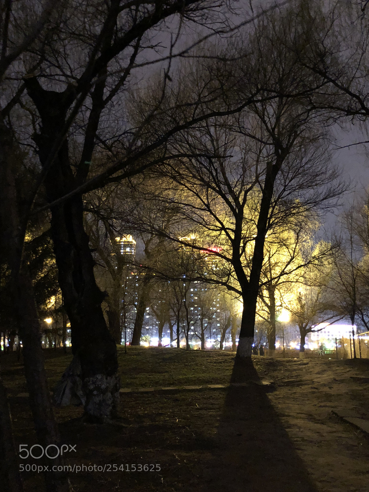 Apple iPhone X sample photo. Night path photography