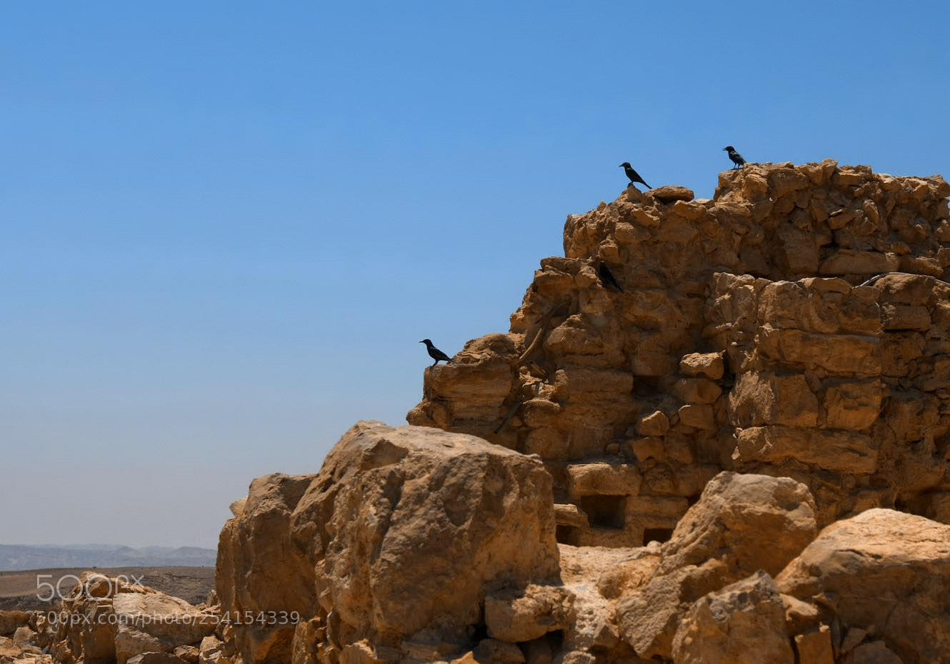 Canon EOS 40D sample photo. At the top of photography