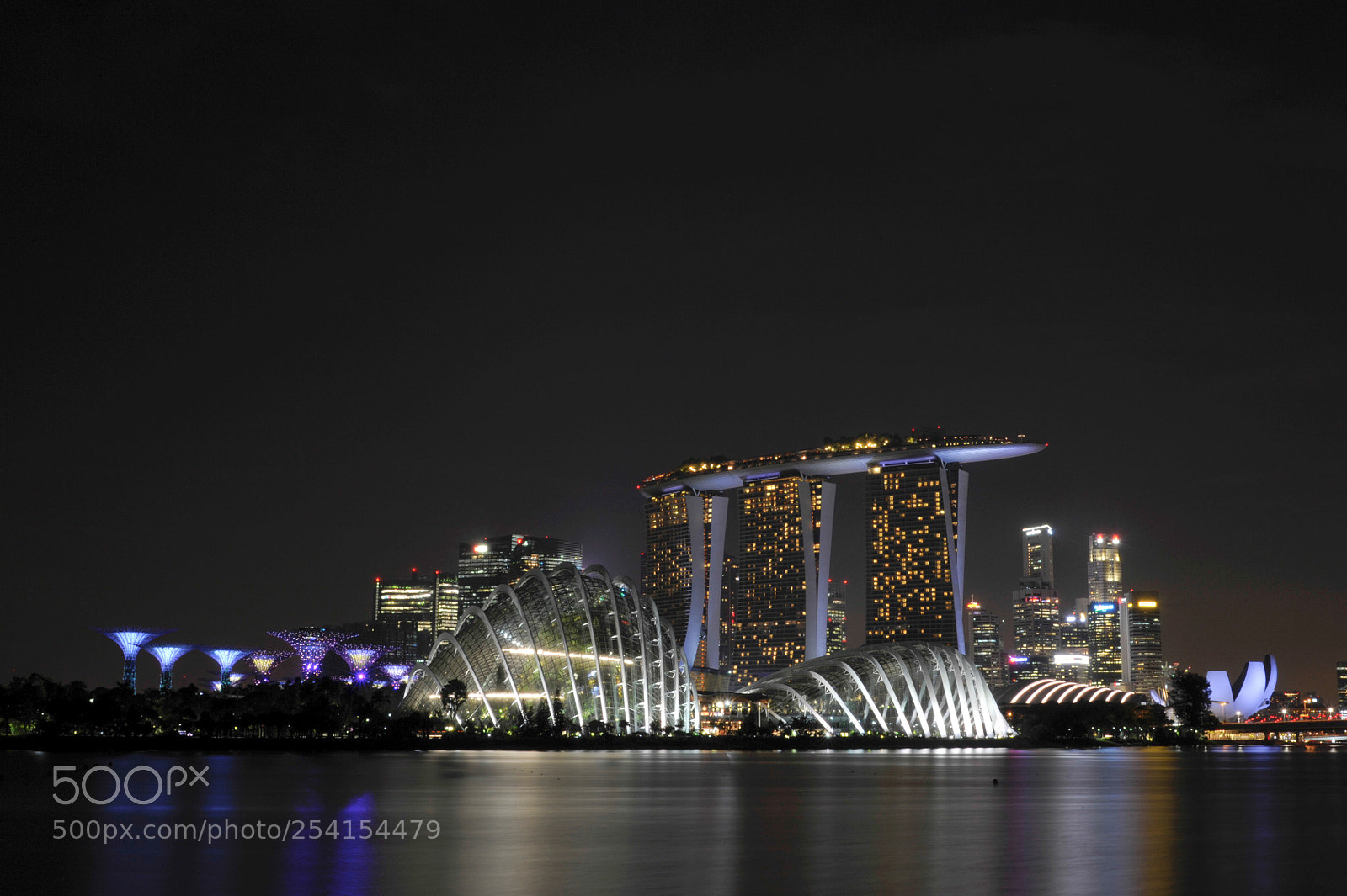 Nikon D700 sample photo. Gardens by the bay photography