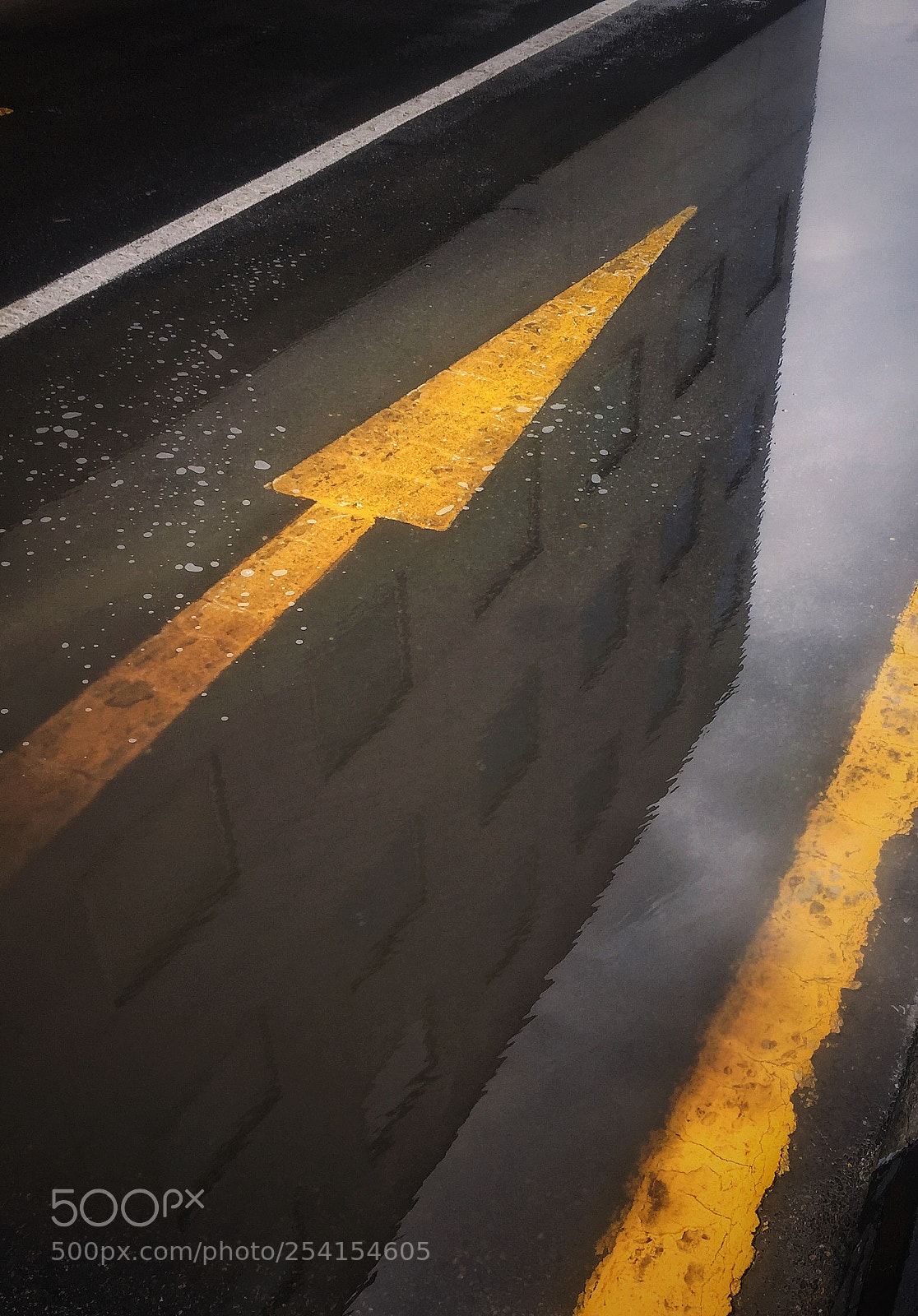 Apple iPhone 6 sample photo. All up photography