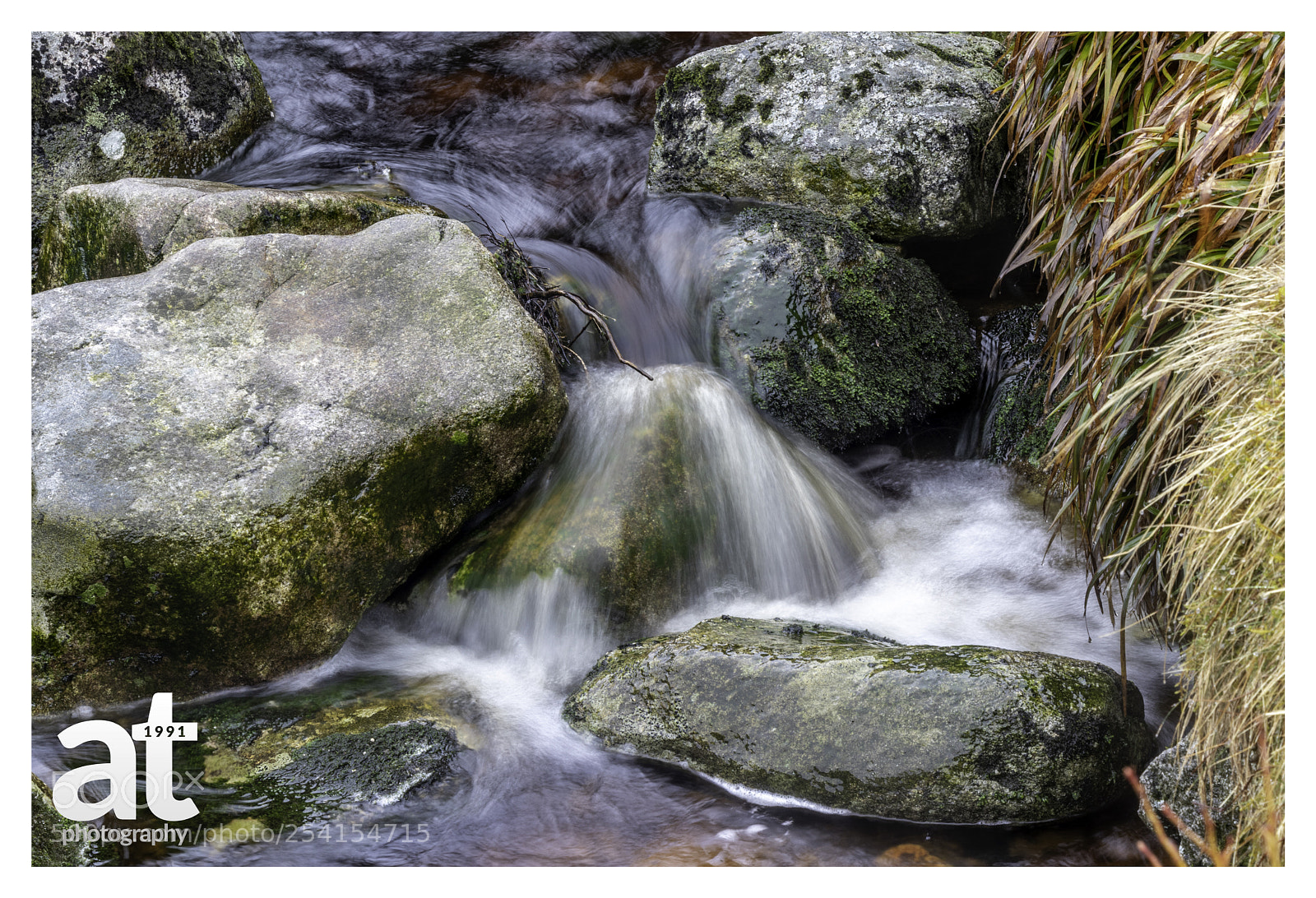 Canon EOS 80D sample photo. Trying a hand at photography