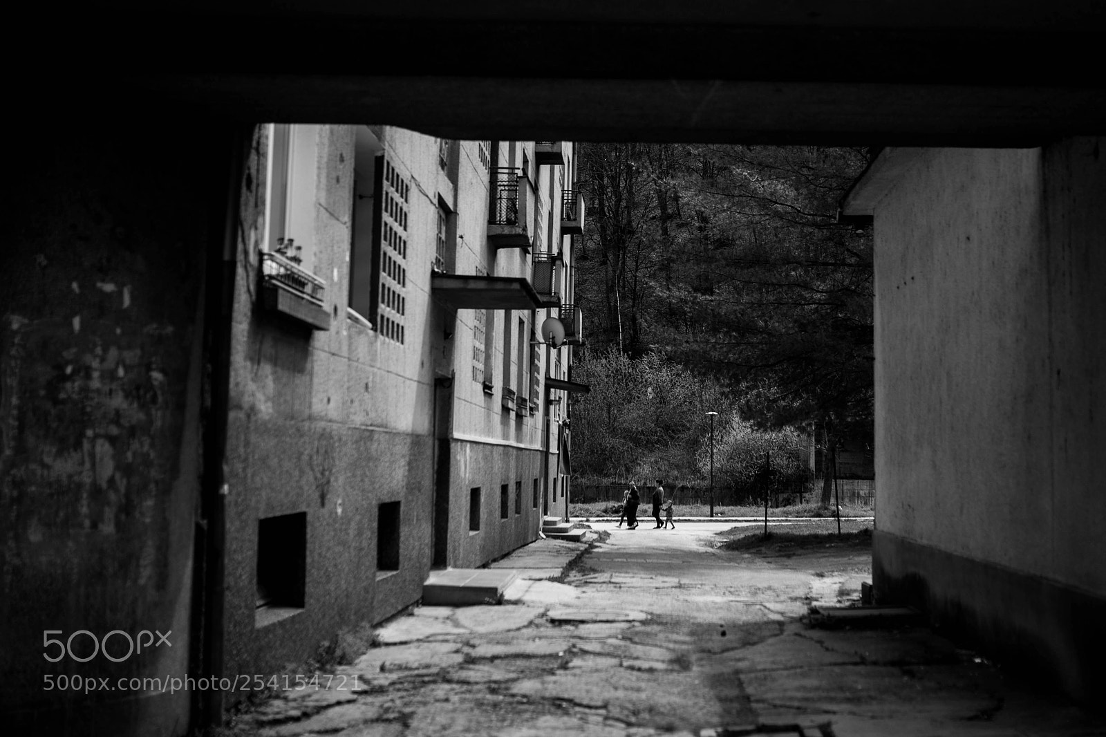 Canon EOS 5D Mark II sample photo. Walk photography