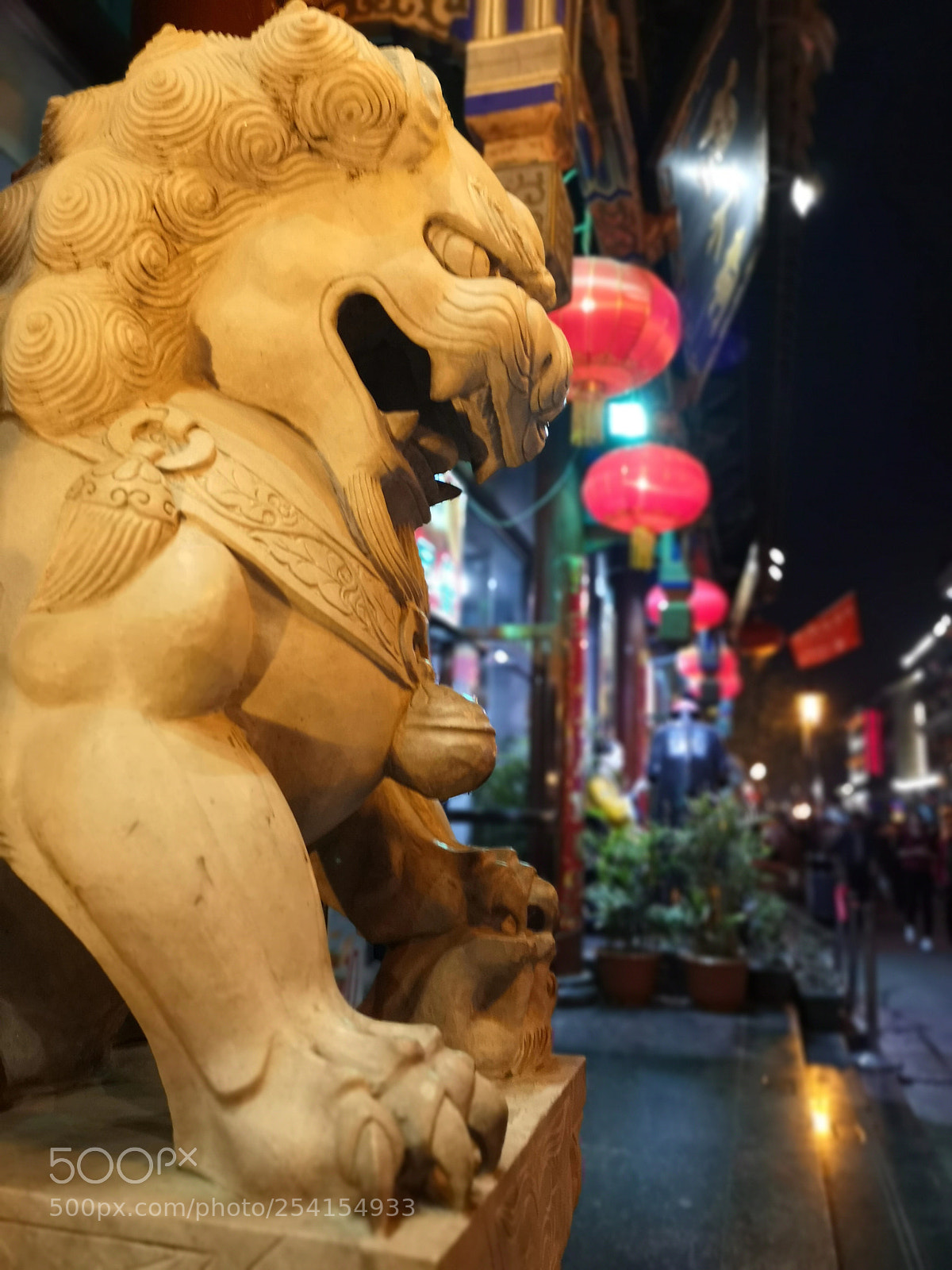 HUAWEI P20 Pro sample photo. Untitled photography
