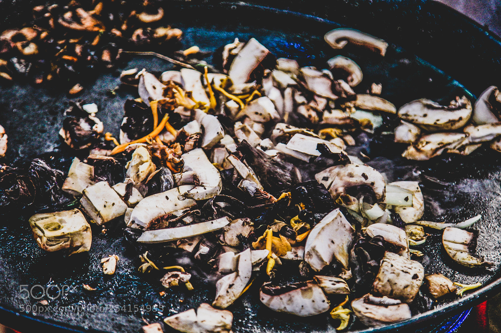 Canon EOS 5D Mark II sample photo. Mushrooms photography