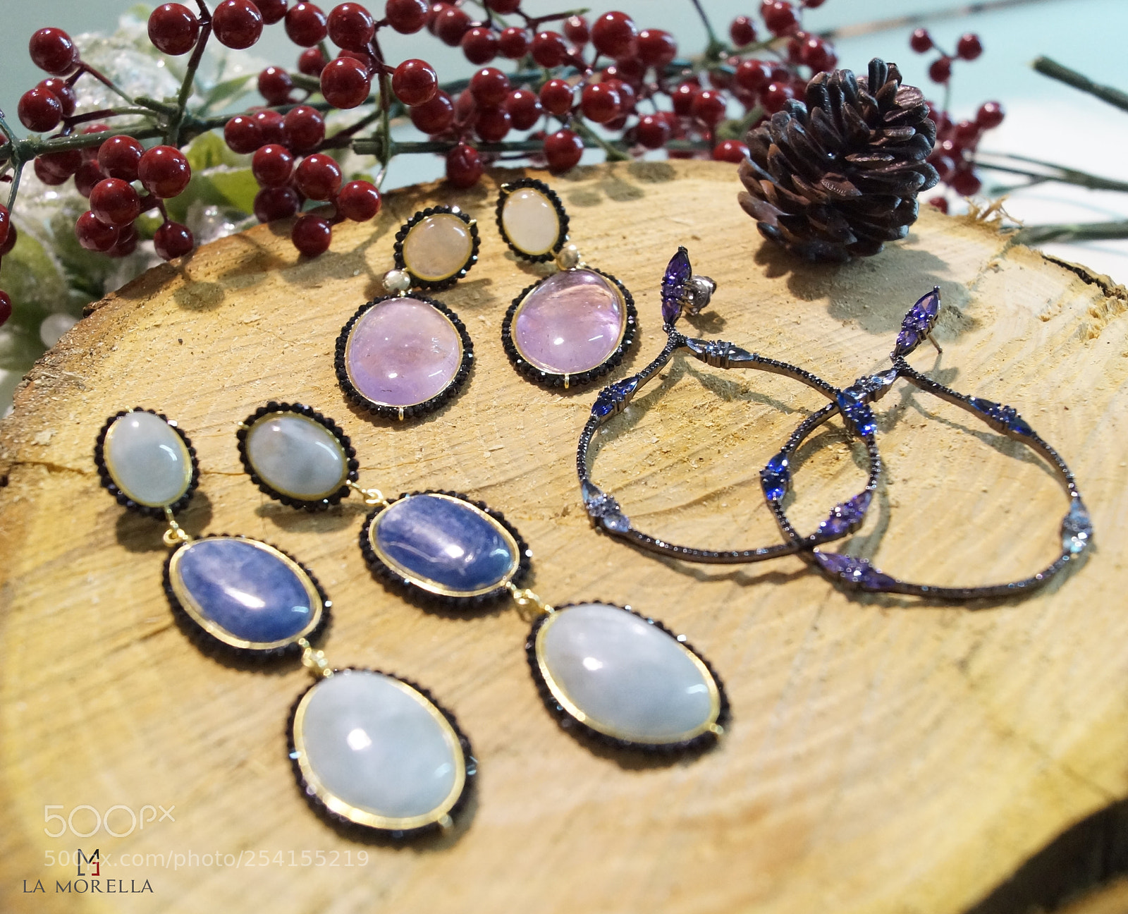 Sony SLT-A58 sample photo. November earrings photography