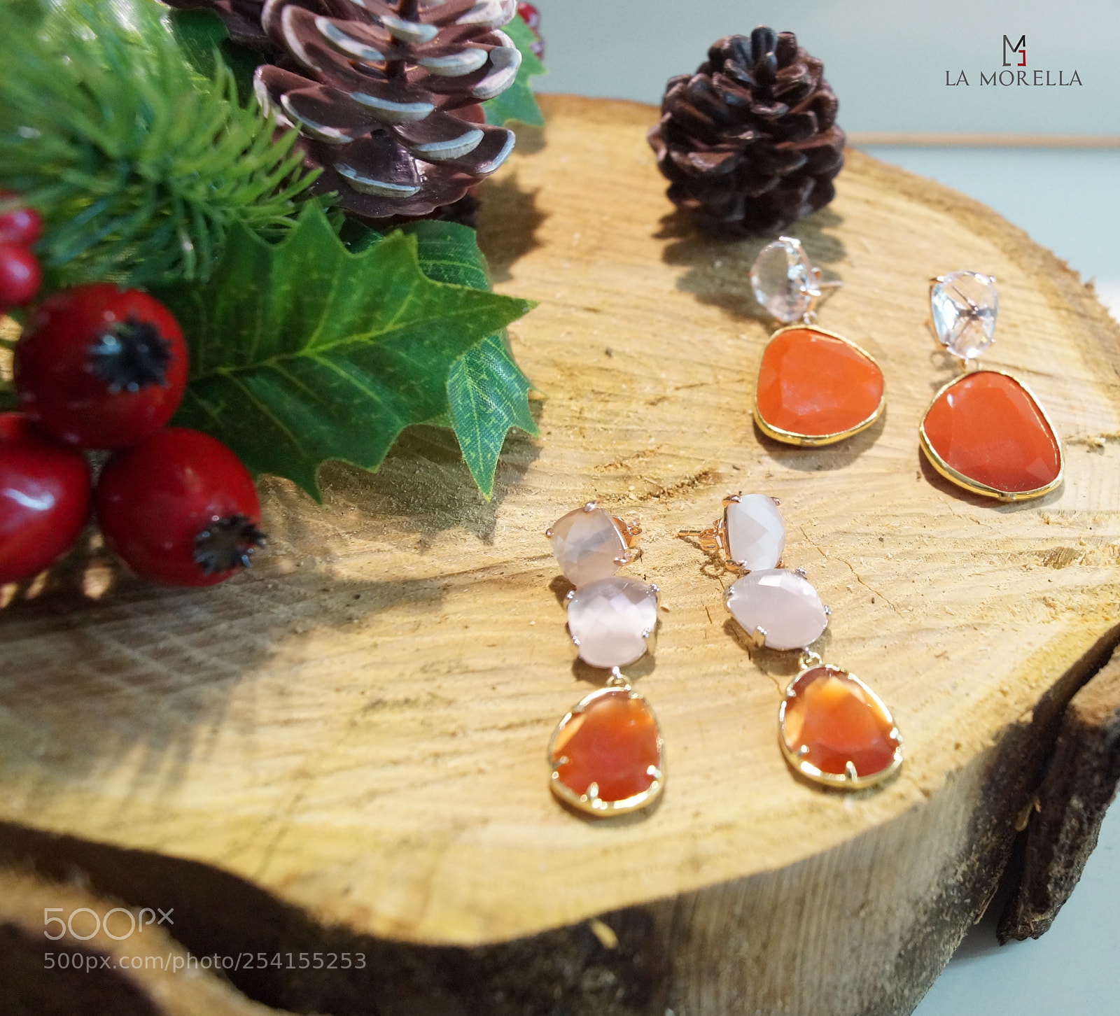 Sony SLT-A58 sample photo. November's jewels photography