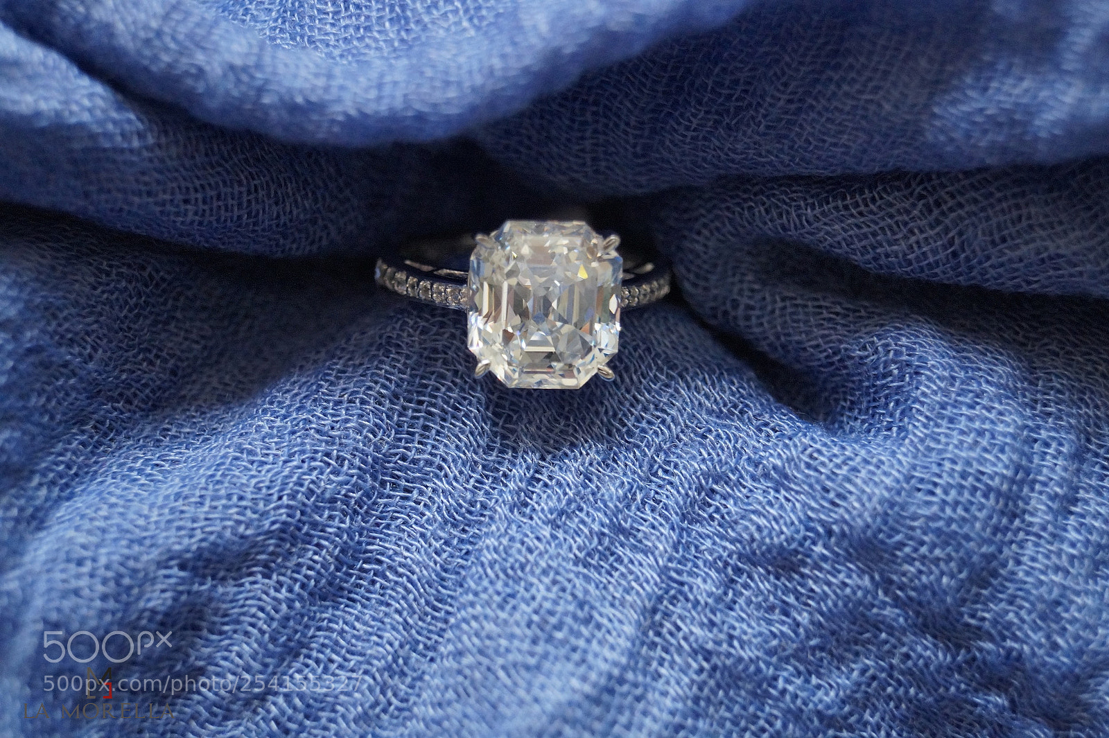 Sony SLT-A58 sample photo. Ring photography