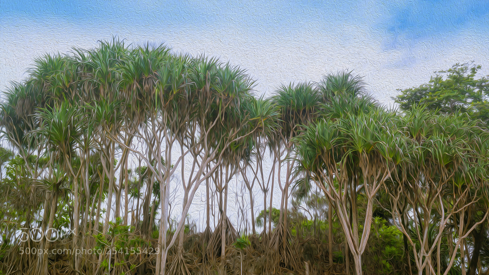 Samsung NX30 sample photo. Pandanus tree photography