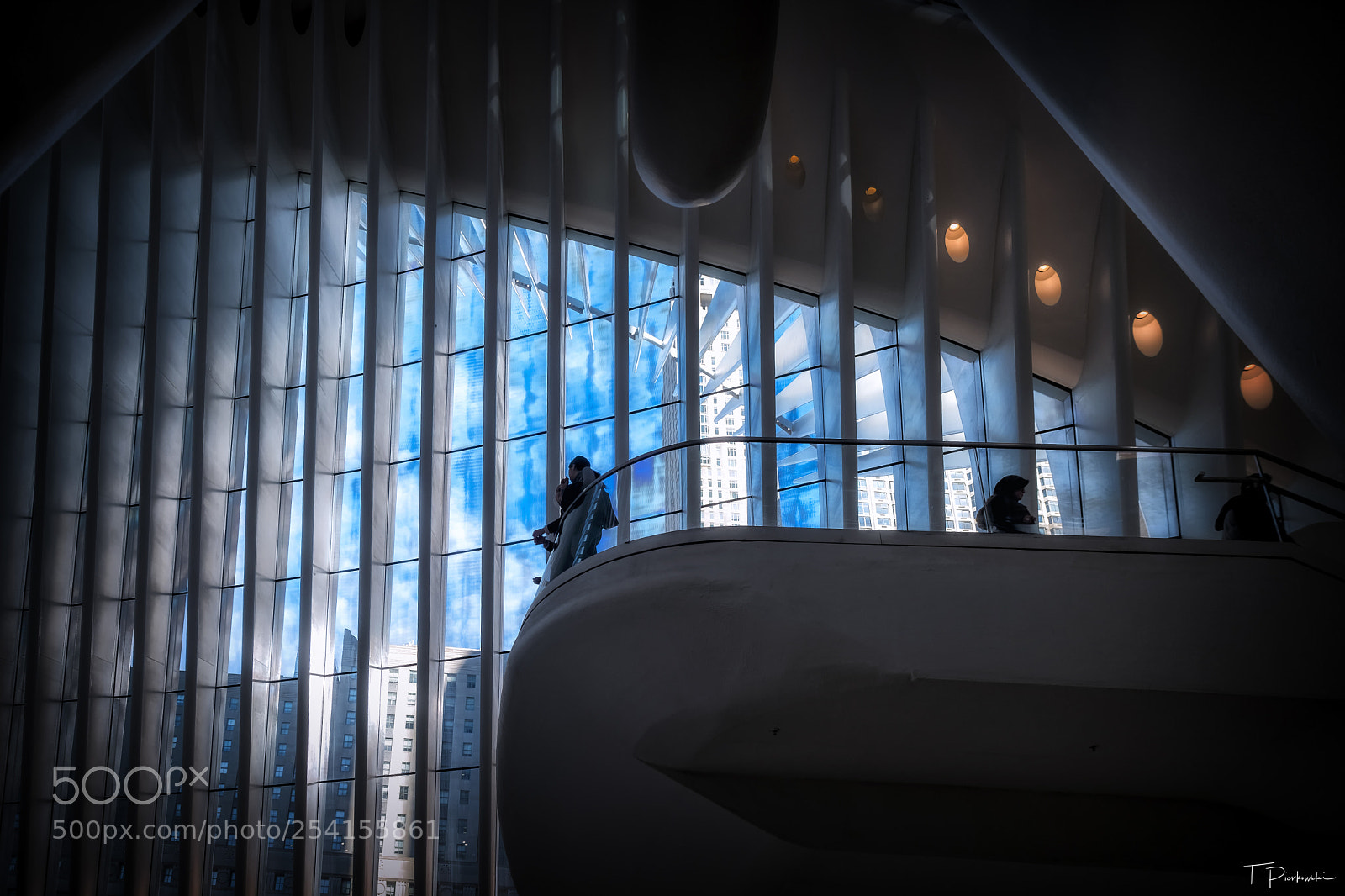 Fujifilm X-T2 sample photo. Oculas - new york photography