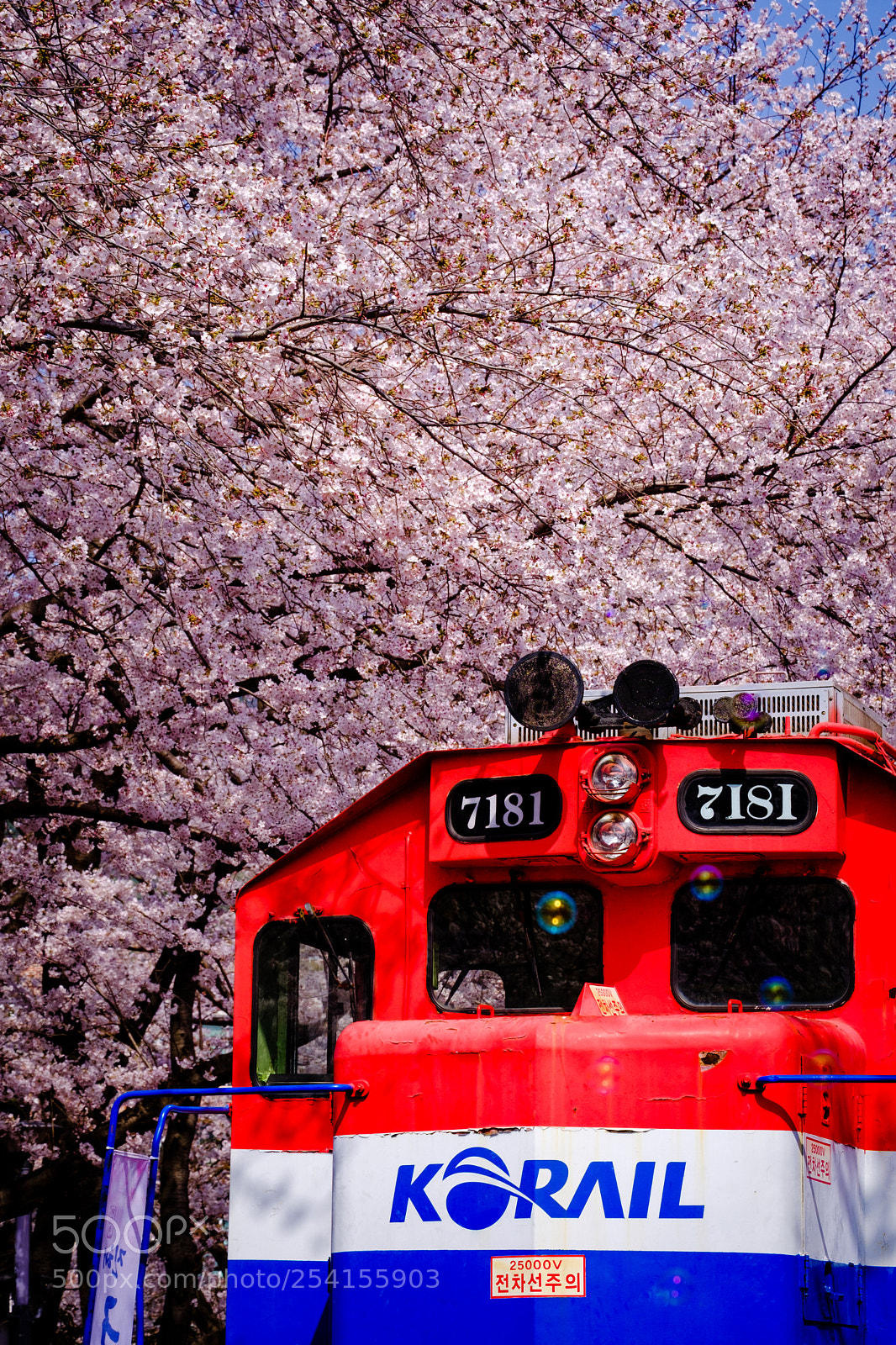 Fujifilm X-T20 sample photo. Korail photography