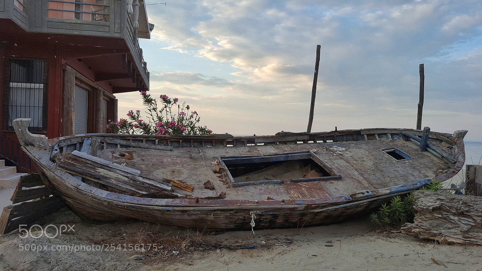 Samsung Galaxy S6 sample photo. Untitled photography