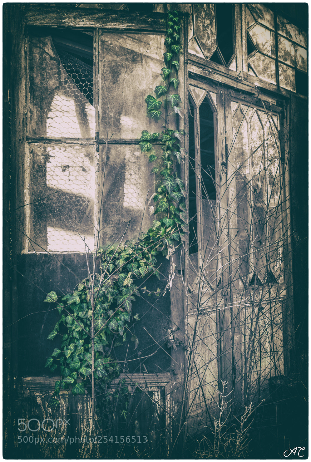 Nikon D800 sample photo. Old stone quarry photography