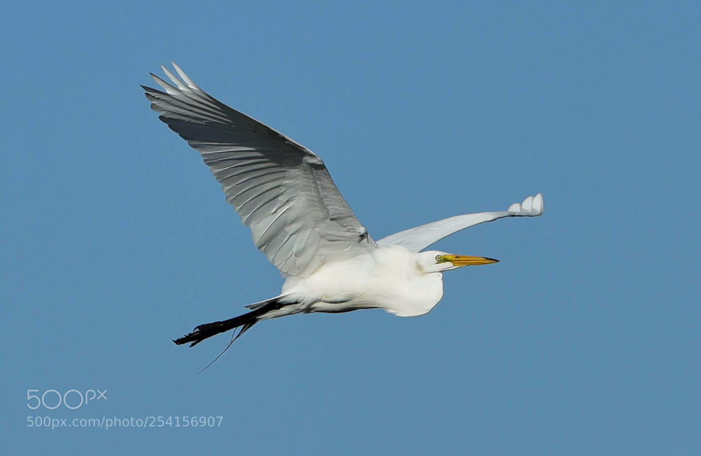 Canon EOS-1D X Mark II sample photo. 04-18-18-0013330.jpg photography