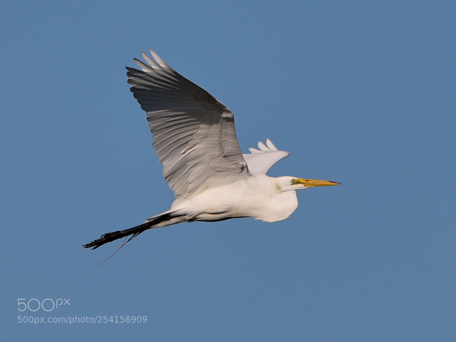 Canon EOS-1D X Mark II sample photo. 04-18-18-0013327.jpg photography