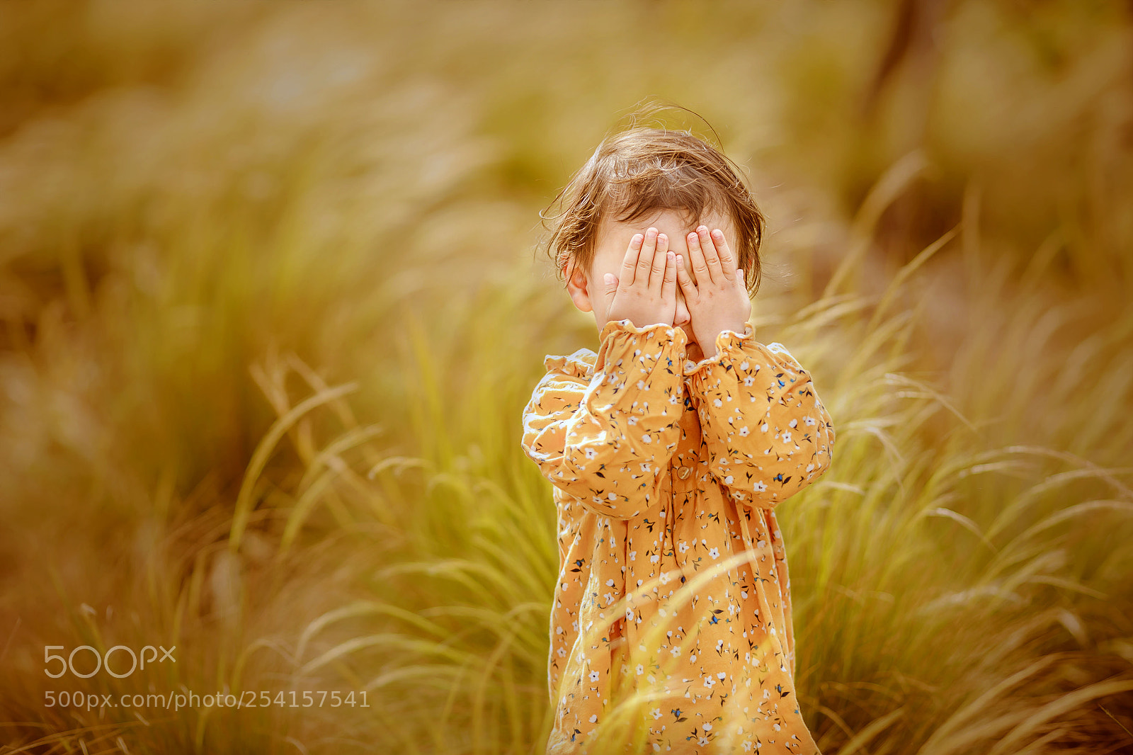 Canon EOS 5D Mark IV sample photo. Untitled photography