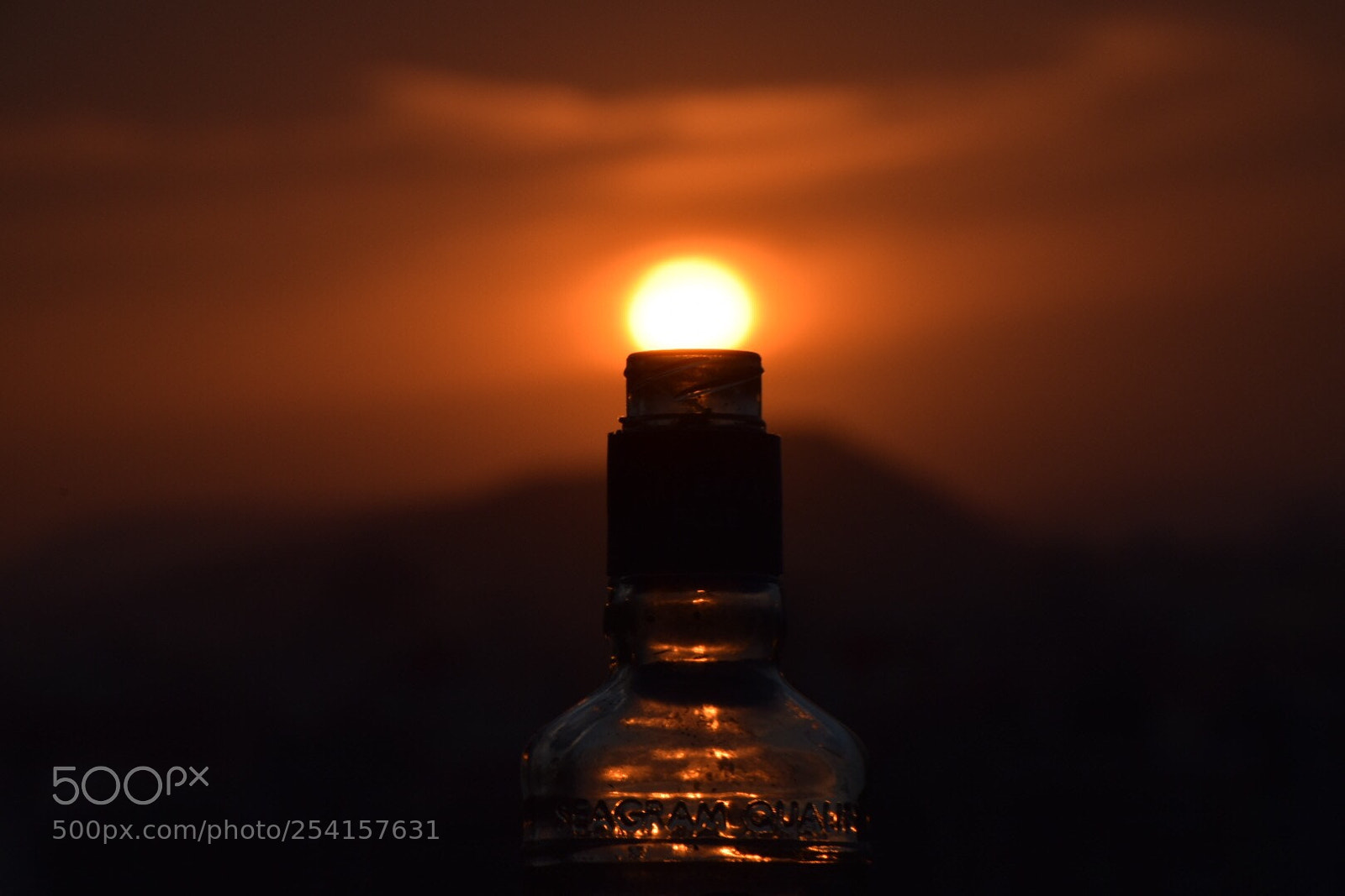 Nikon D5300 sample photo. Bottling the sun! photography
