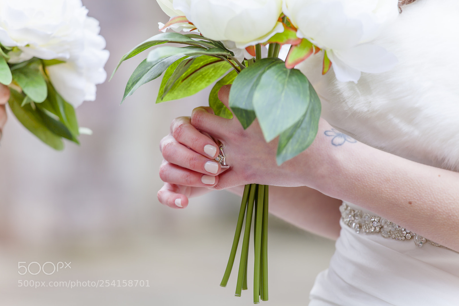Canon EOS 5D Mark II sample photo. Ashes barnes photography